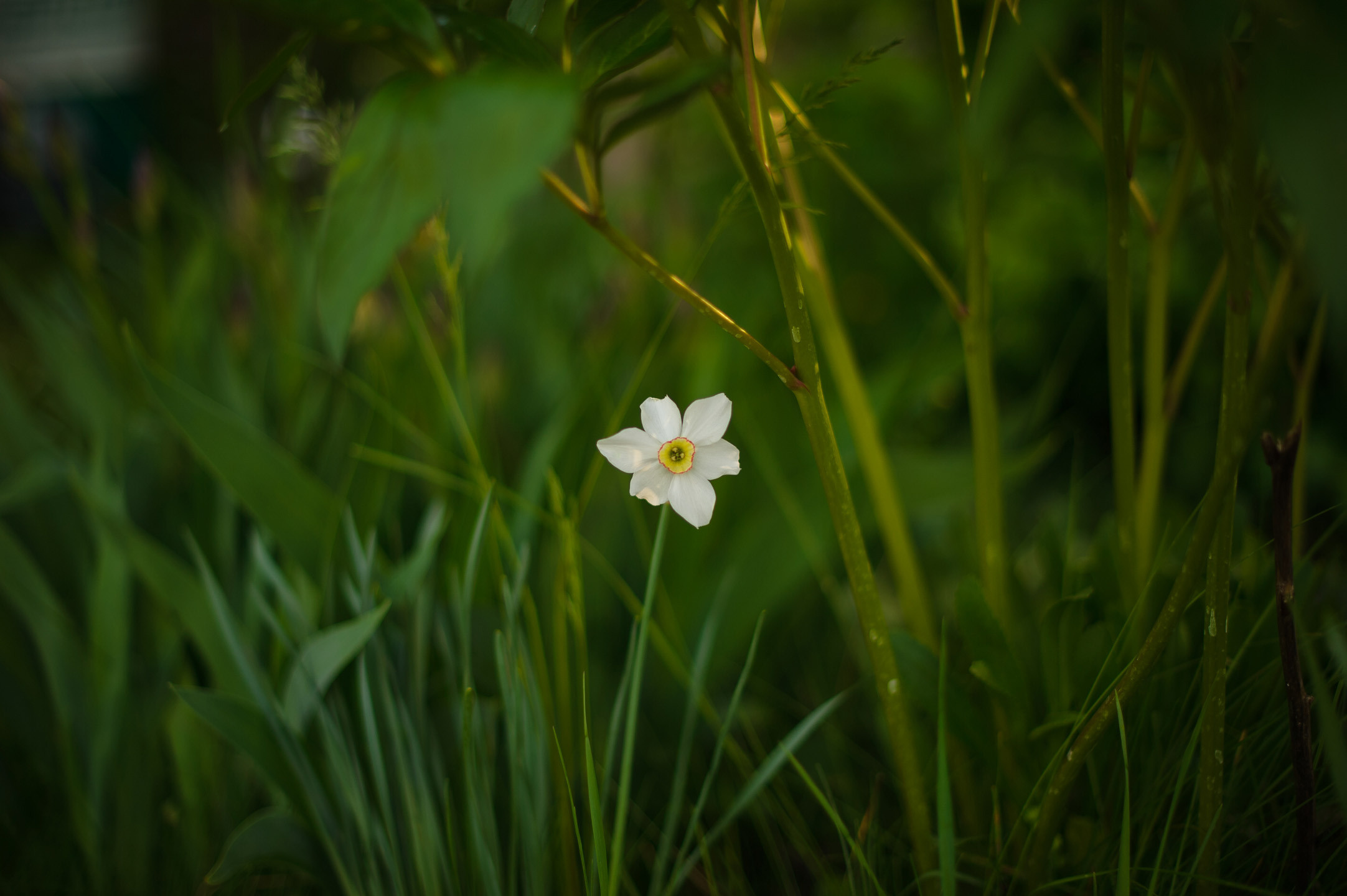 Альбом № 8. Семейный фотограф в Кишинёве THOMAS SHTIFT