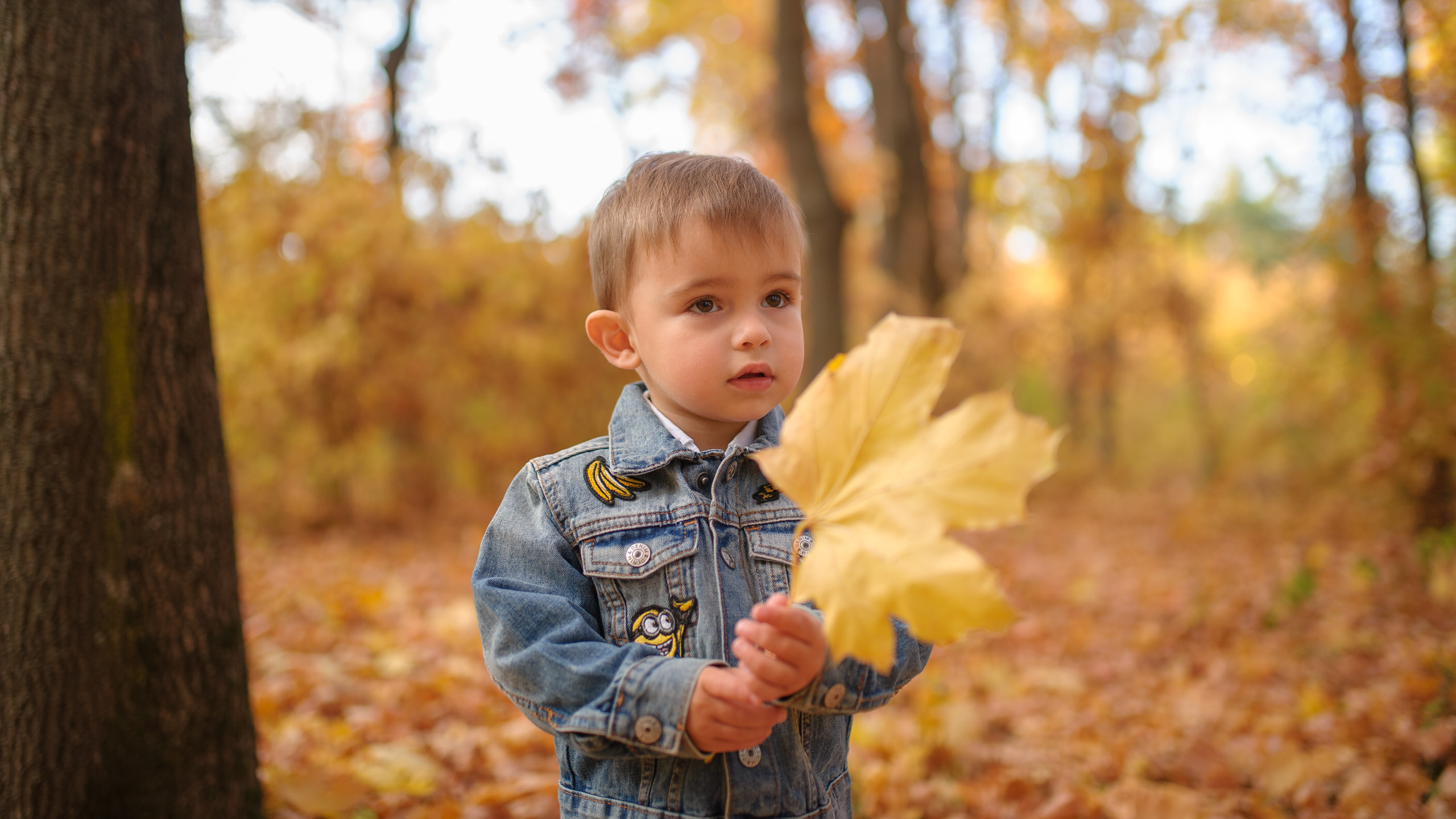 Альбом — Димка. Семейный фотограф в Кишинёве THOMAS SHTIFT