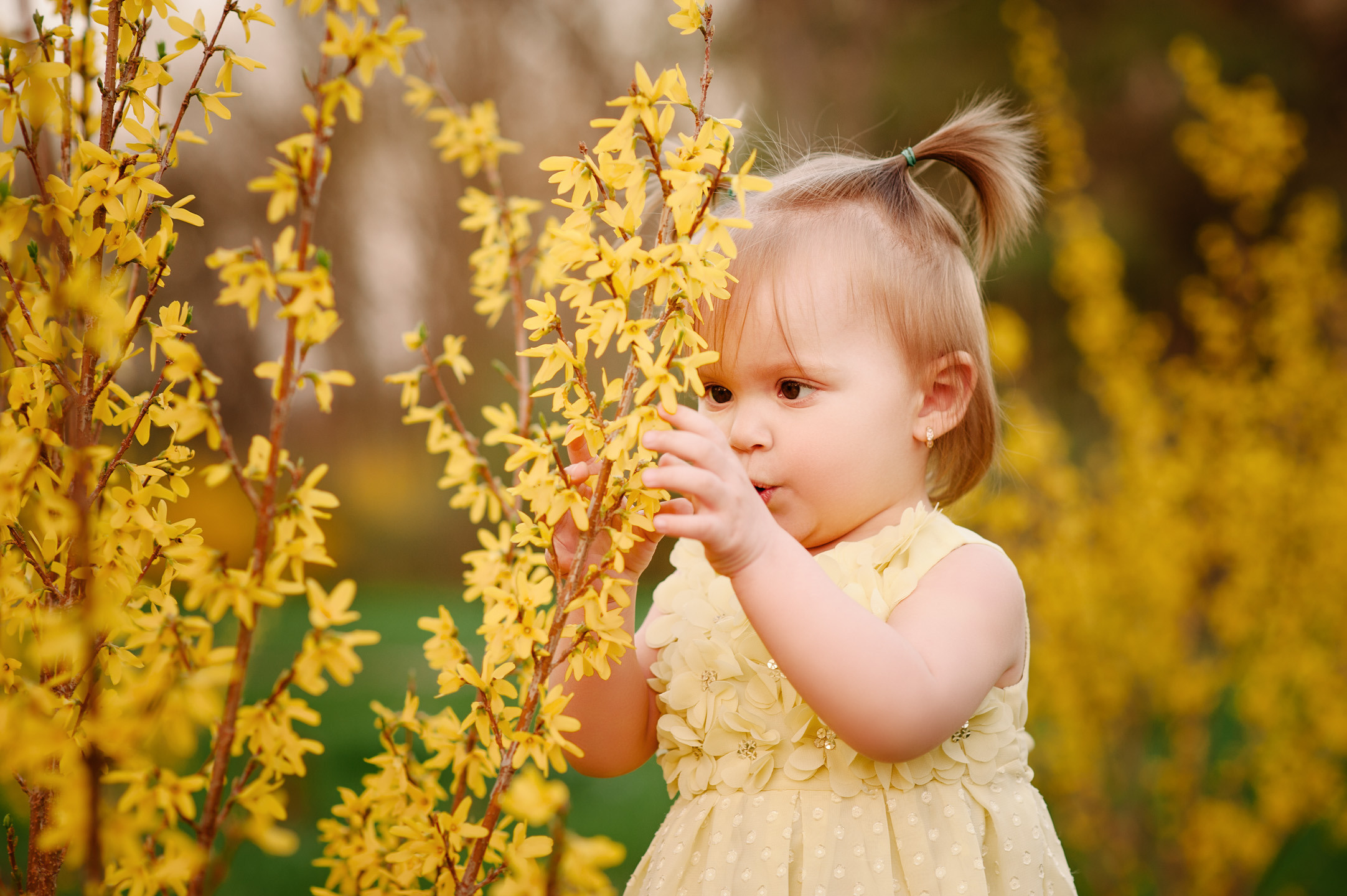 Альбом — Melisa. Семейный фотограф в Кишинёве THOMAS SHTIFT