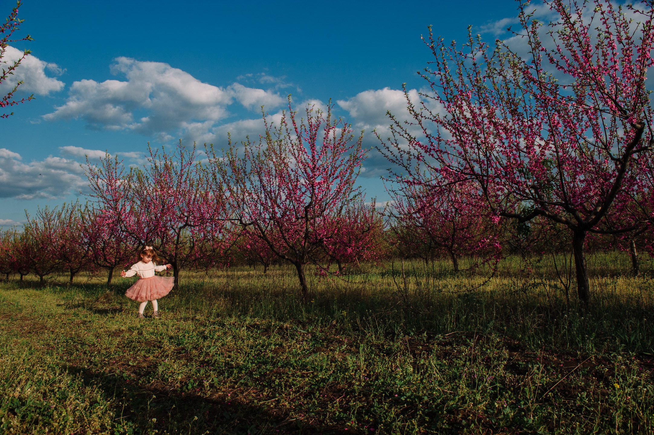 Альбом № 5. Семейный фотограф в Кишинёве THOMAS SHTIFT