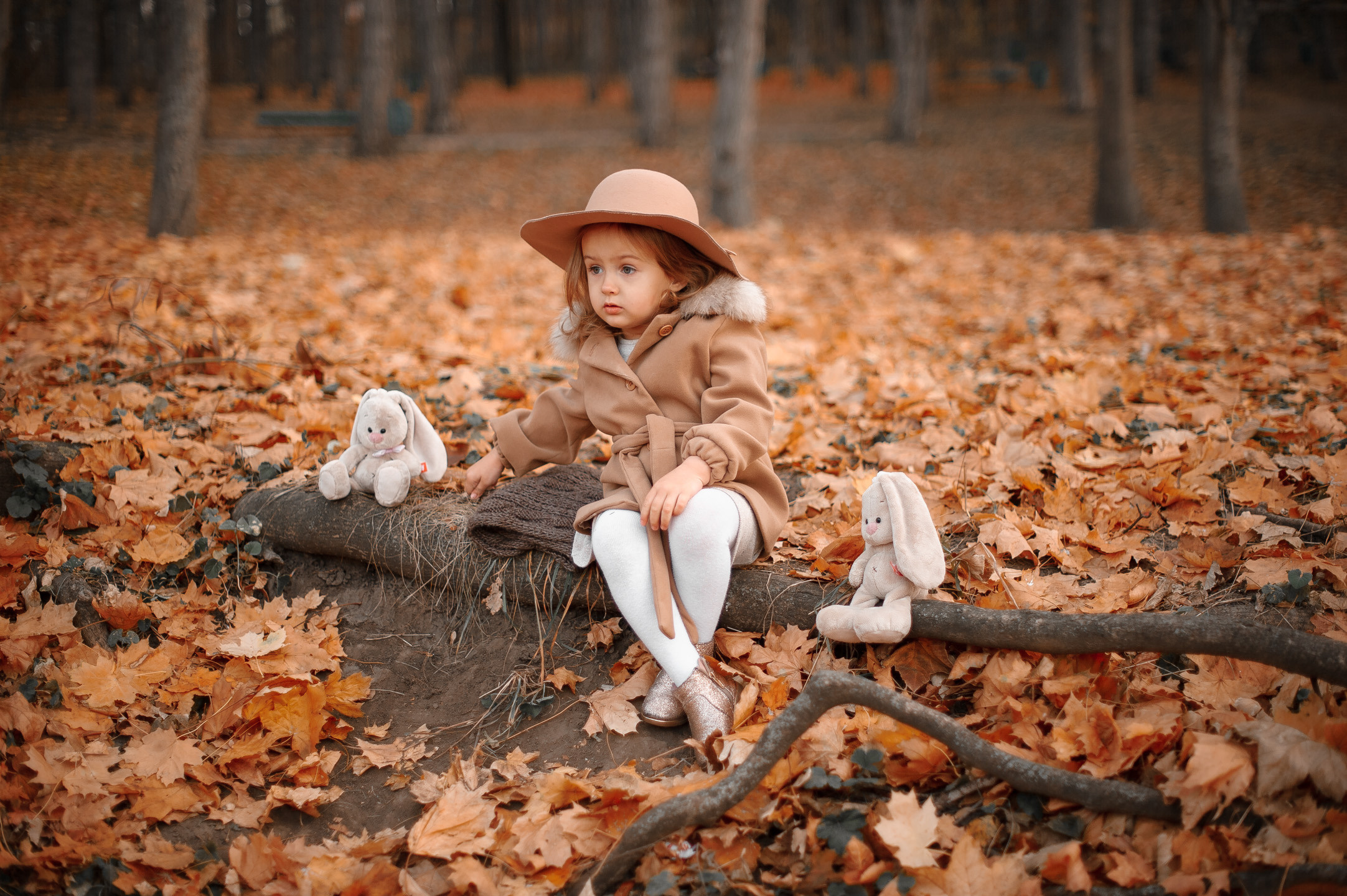 Альбом — Dea. Семейный фотограф в Кишинёве THOMAS SHTIFT