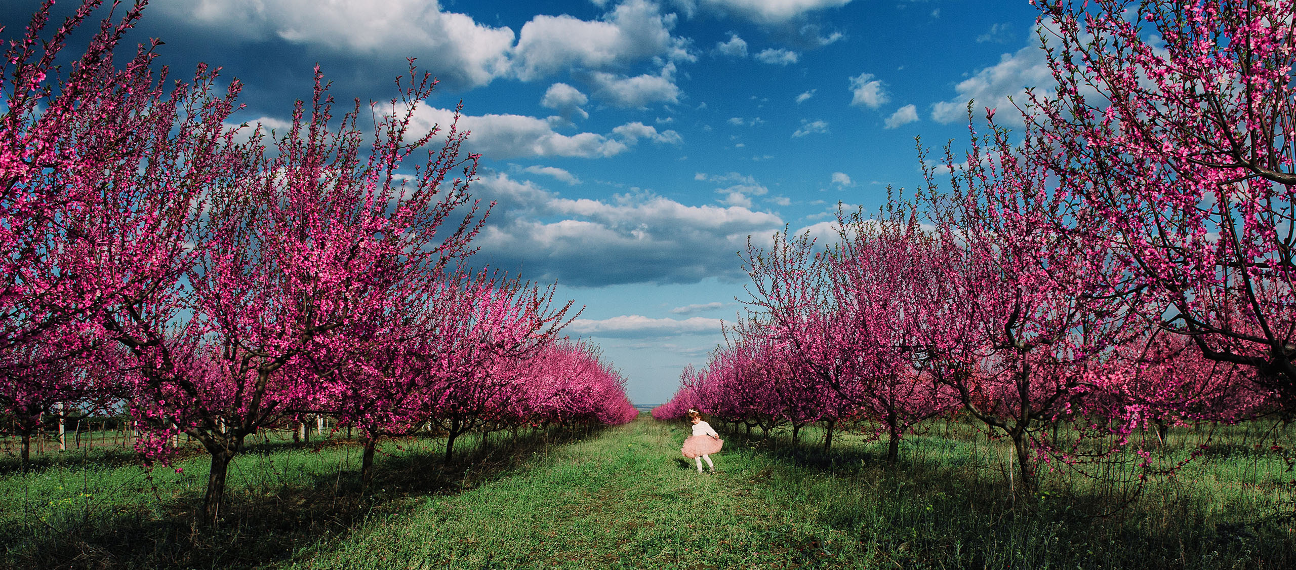 Альбом № 5. Семейный фотограф в Кишинёве THOMAS SHTIFT