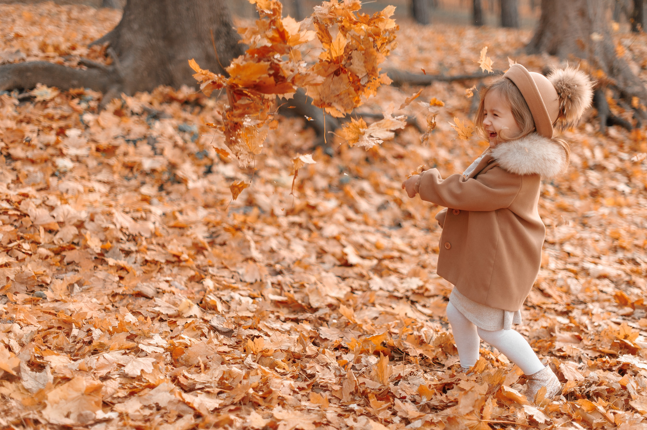 Альбом — Dea. Семейный фотограф в Кишинёве THOMAS SHTIFT