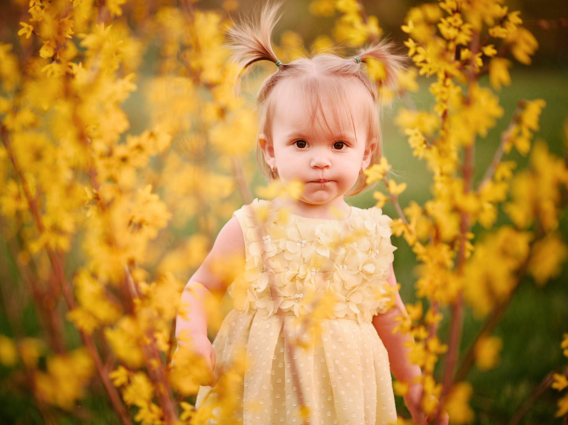 Альбом — Melisa. Семейный фотограф в Кишинёве THOMAS SHTIFT