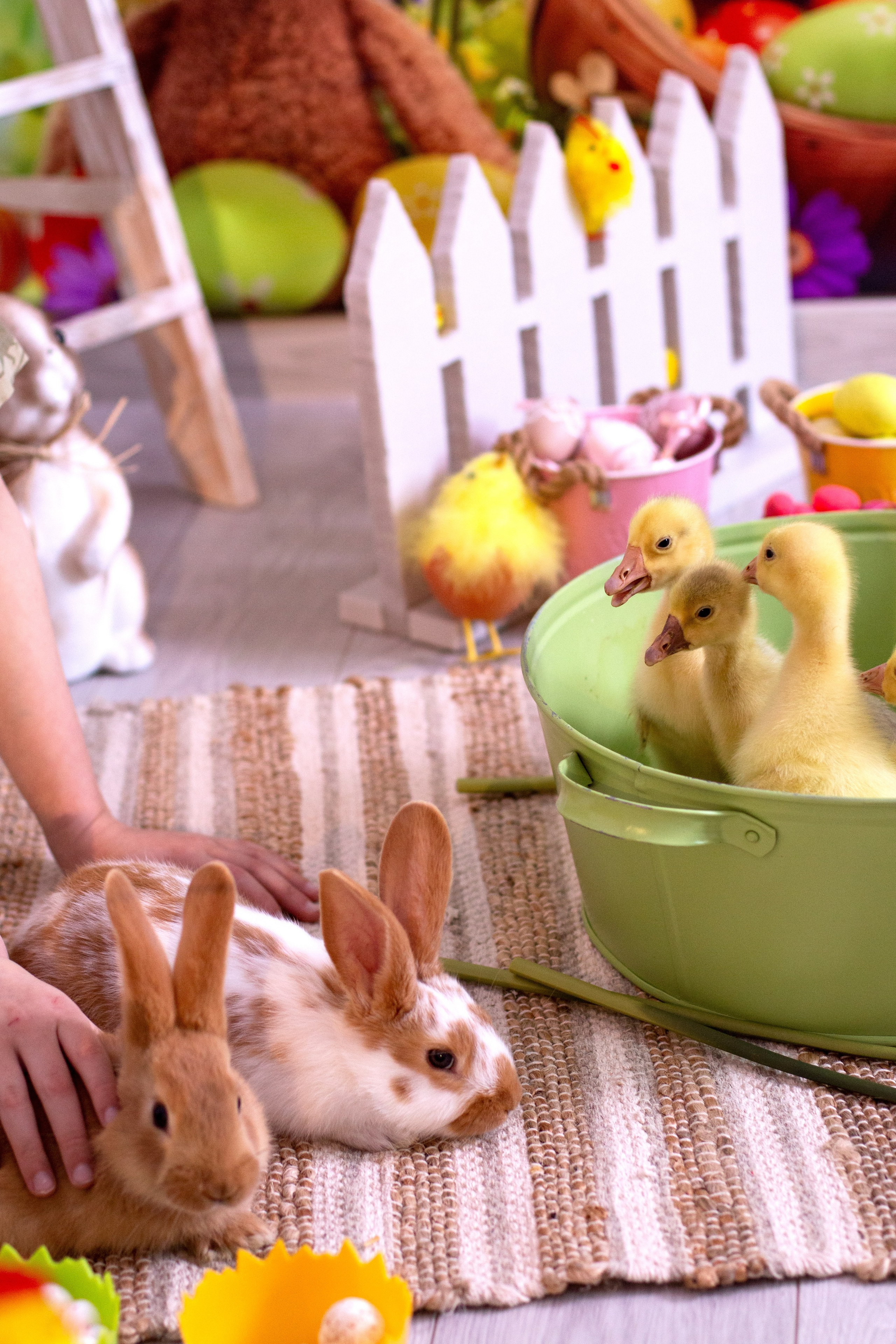 Пасха. Детский и семейный фотограф в г. Бельцы