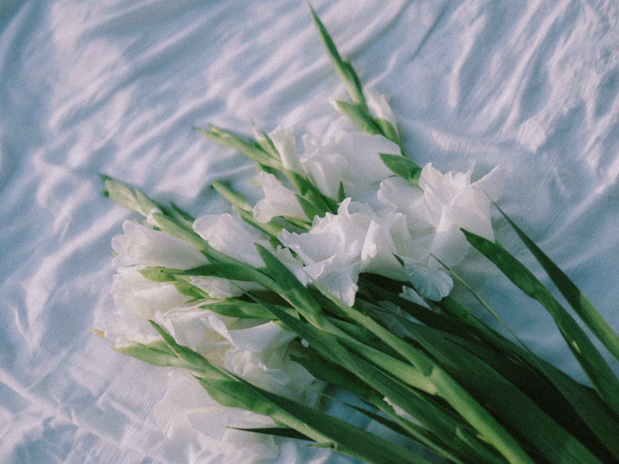 Марго. Film portrait photographer