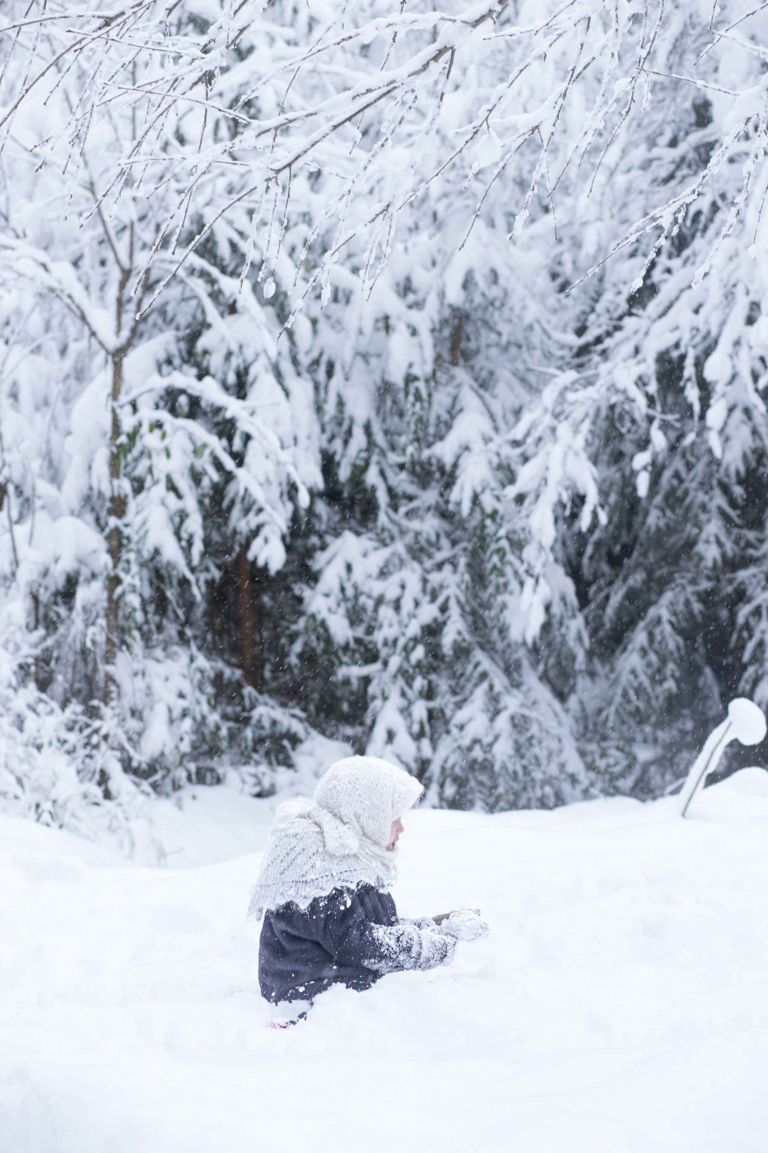 Ein Weihnachtsmärchen. Olena Fritz Fotografie