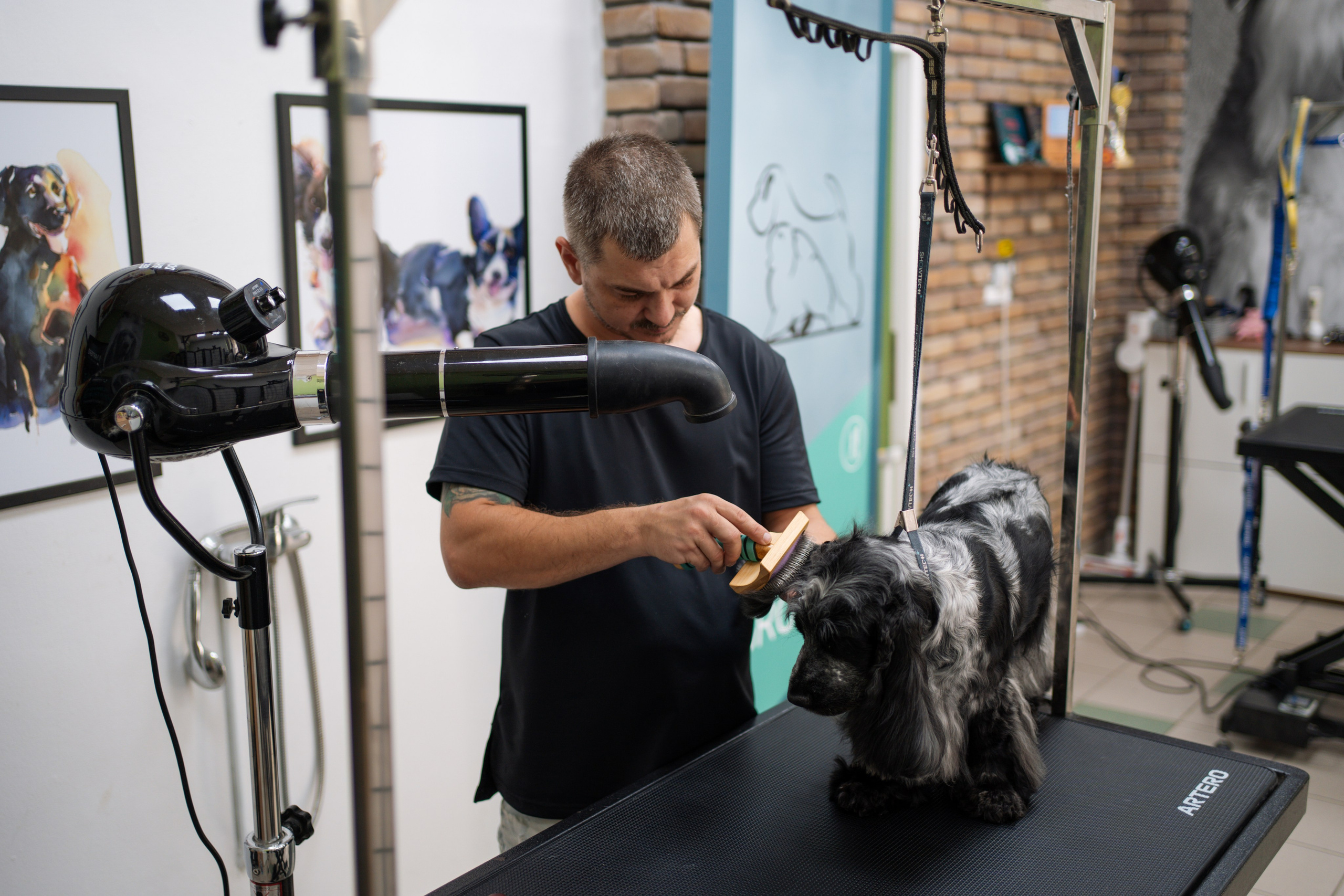 PetGroom Timisoara. Cozac Cristian Photographer