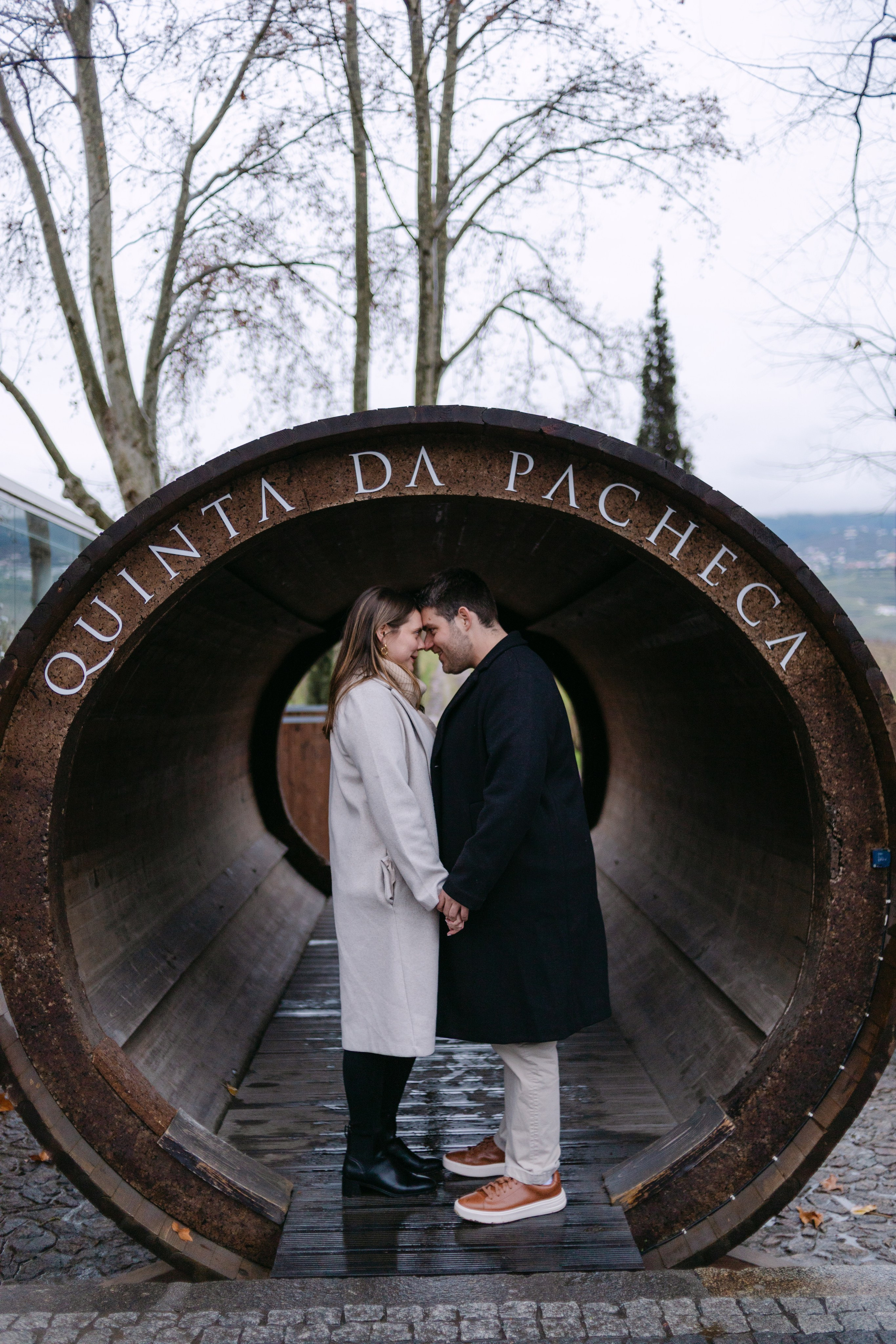 Proposal Sandro — Quinta Pacheca. Wedding and couple photographer in Porto