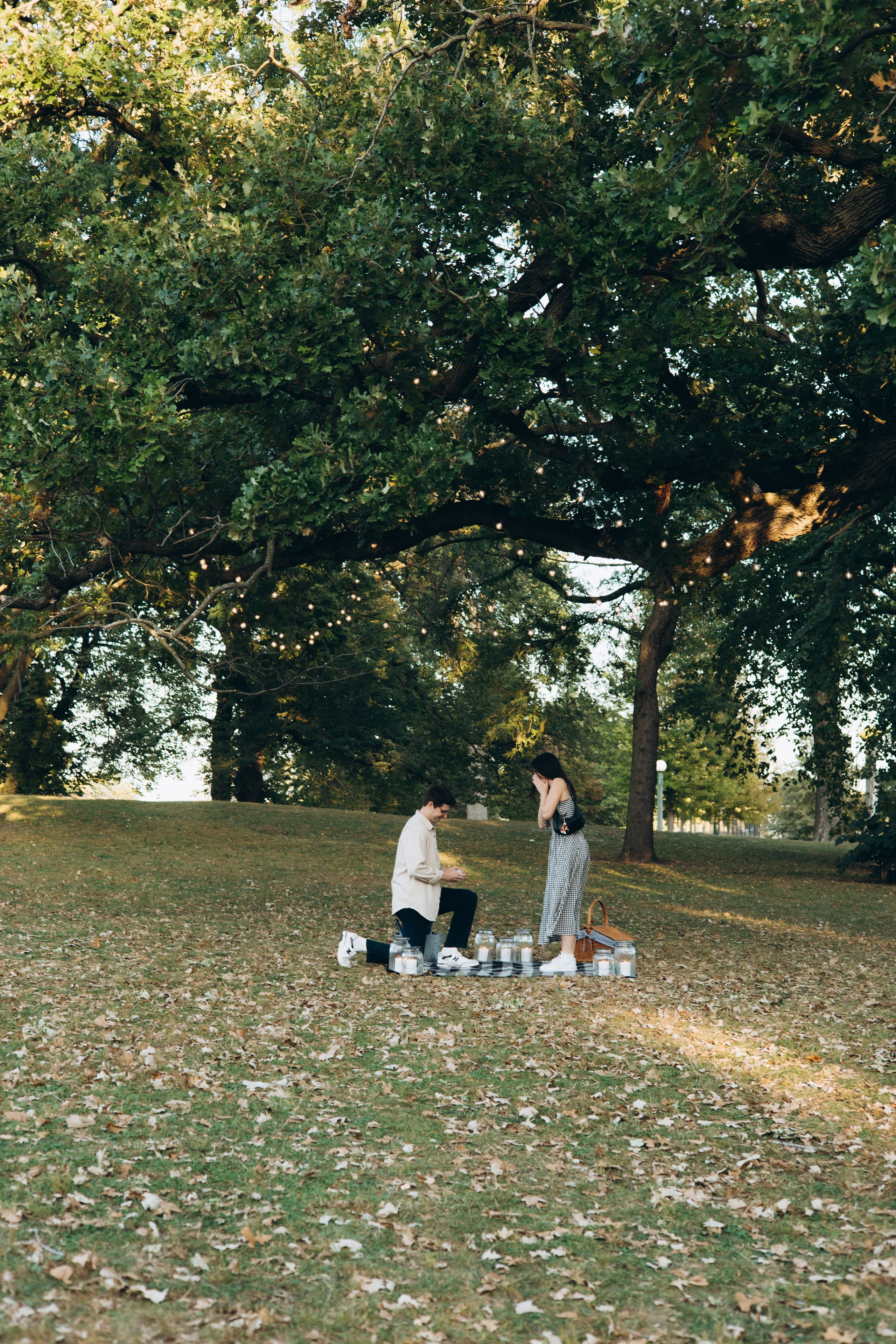 Lincoln Park Proposal — Margarita Stepanenko Photographer
