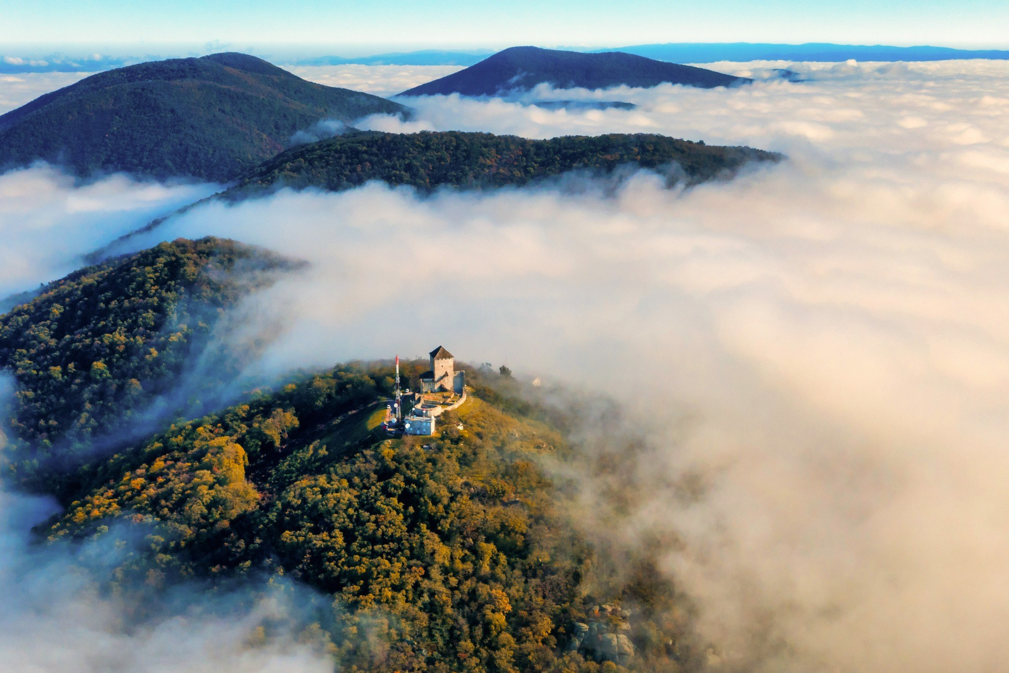 Landscape photography. Wedding photography