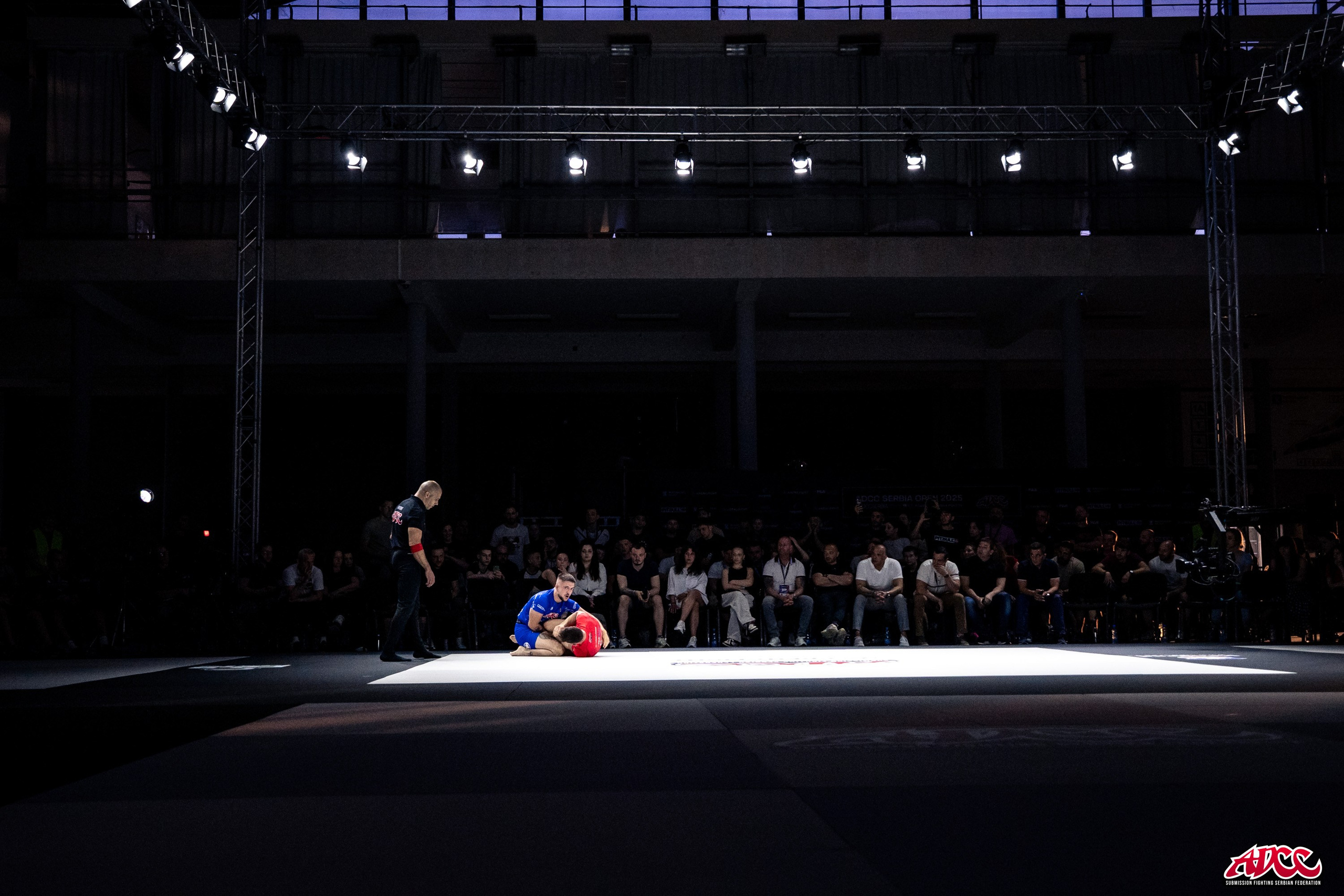 Sport. Wedding photography