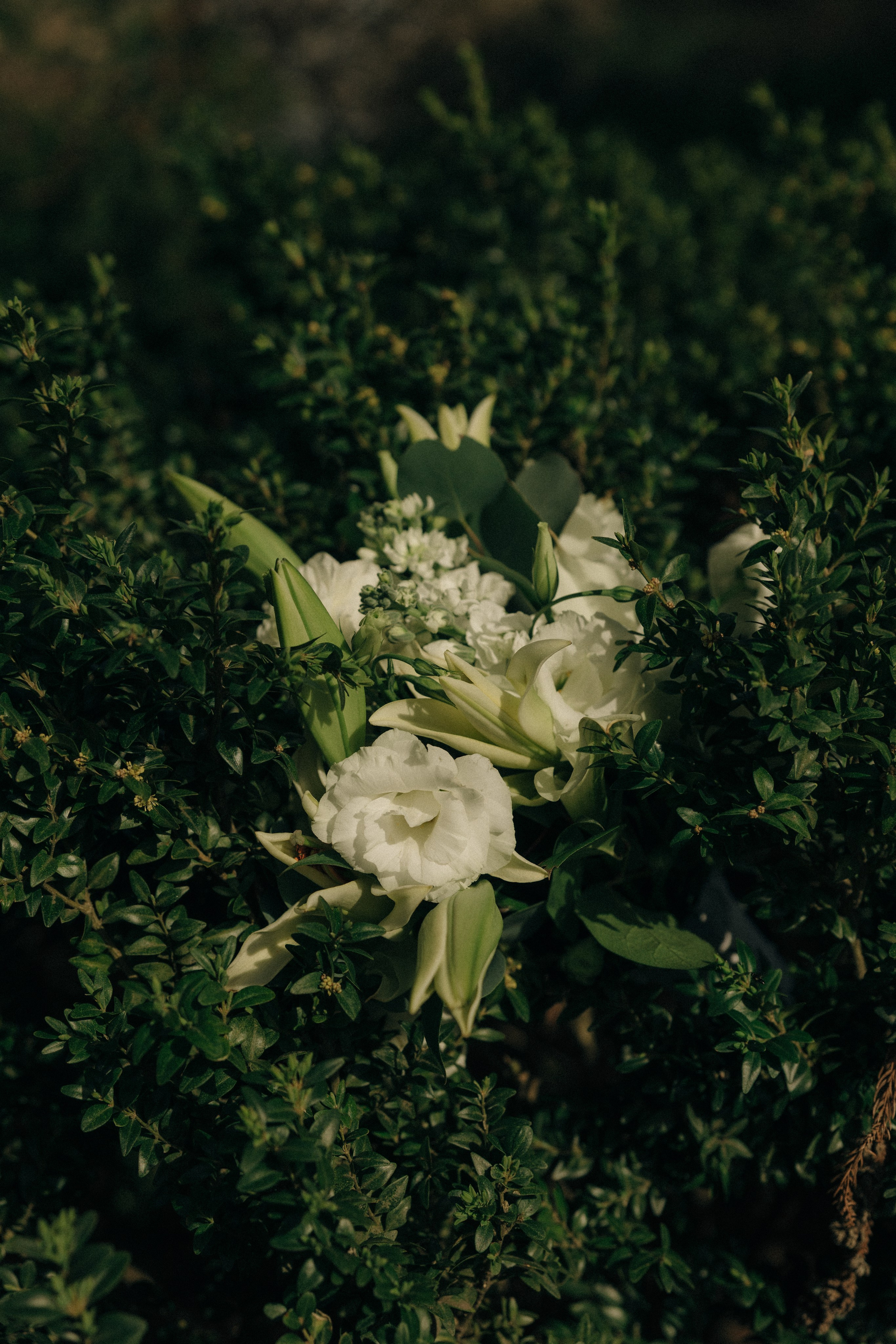 Tassia&Lilian Elopement. Sara Eulalia | Virginia Photographer