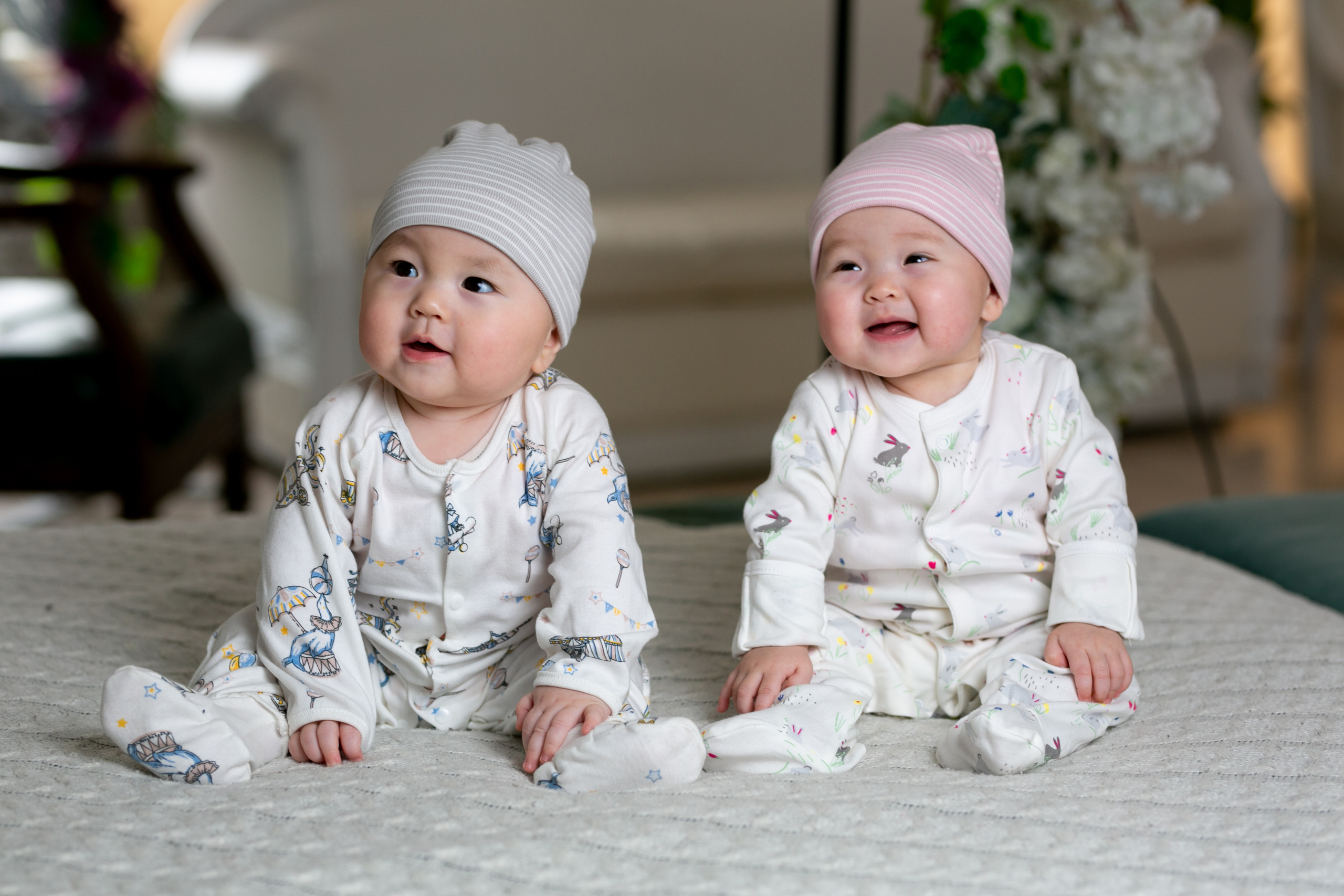 Family. Mandarin.photo