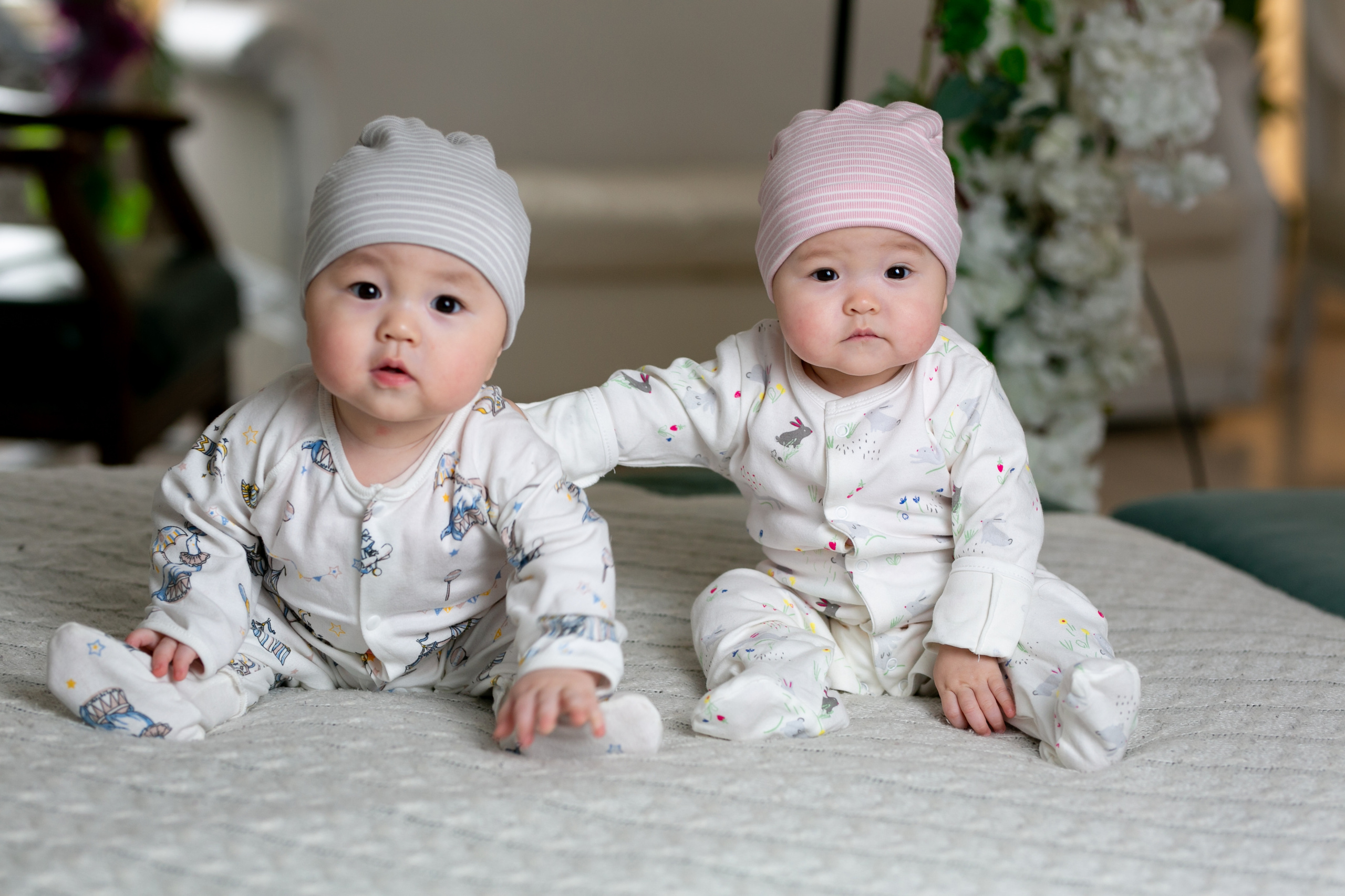 Family. Mandarin.photo