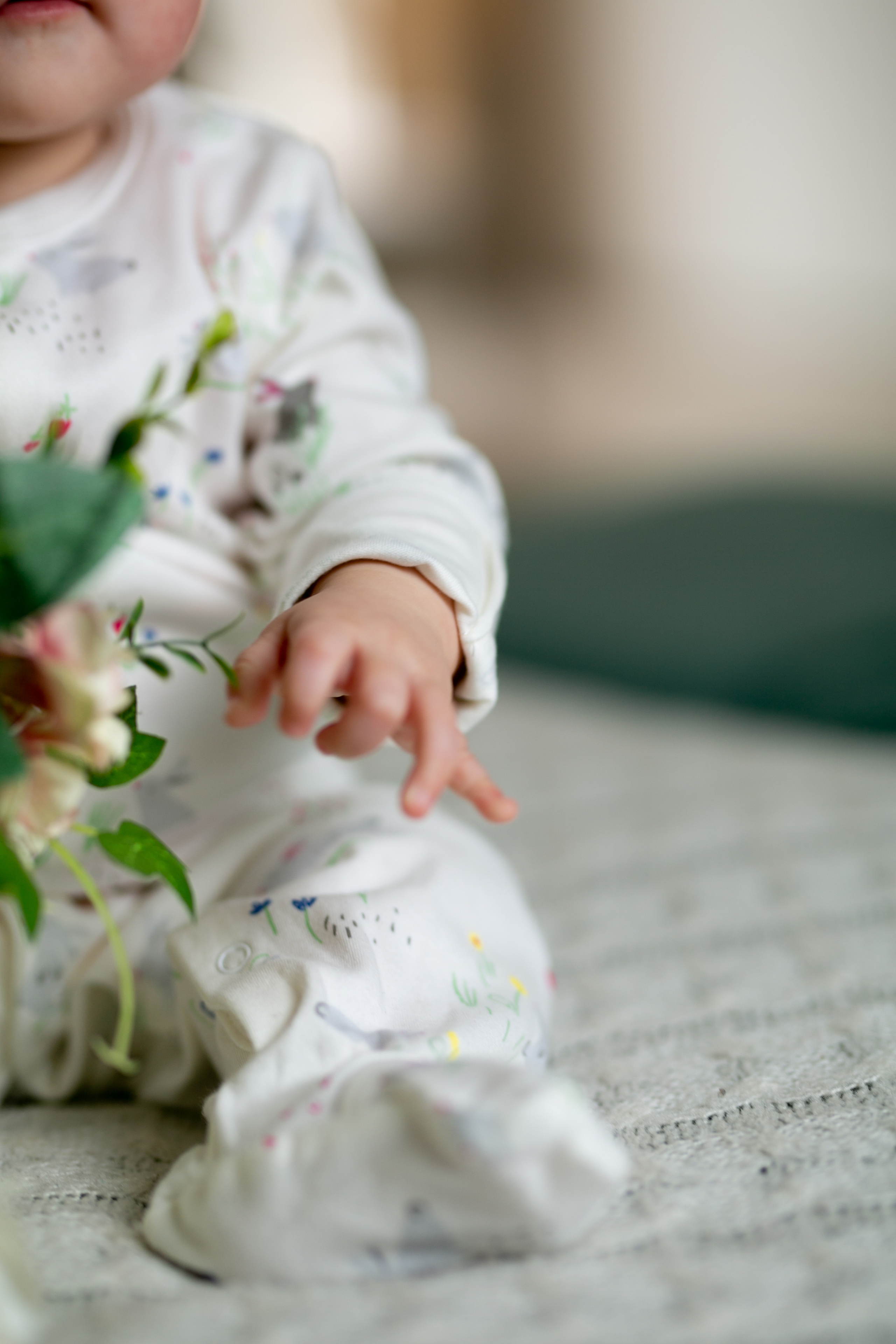 Family. Mandarin.photo