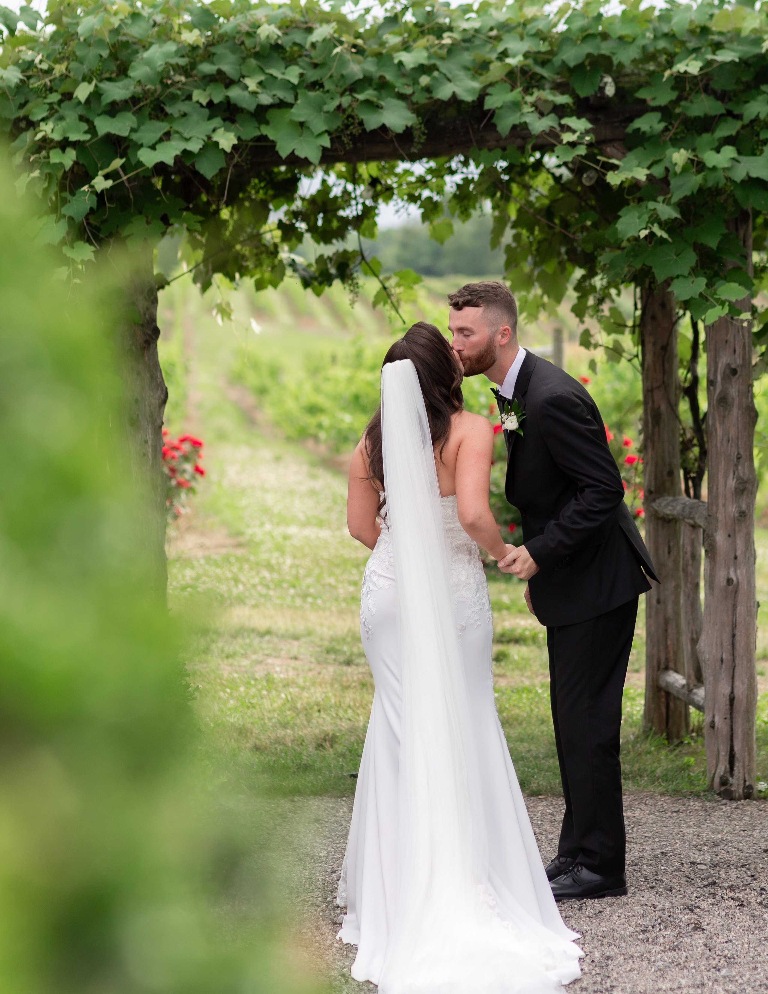 Angelica & Conor. Wedding Photo & Video