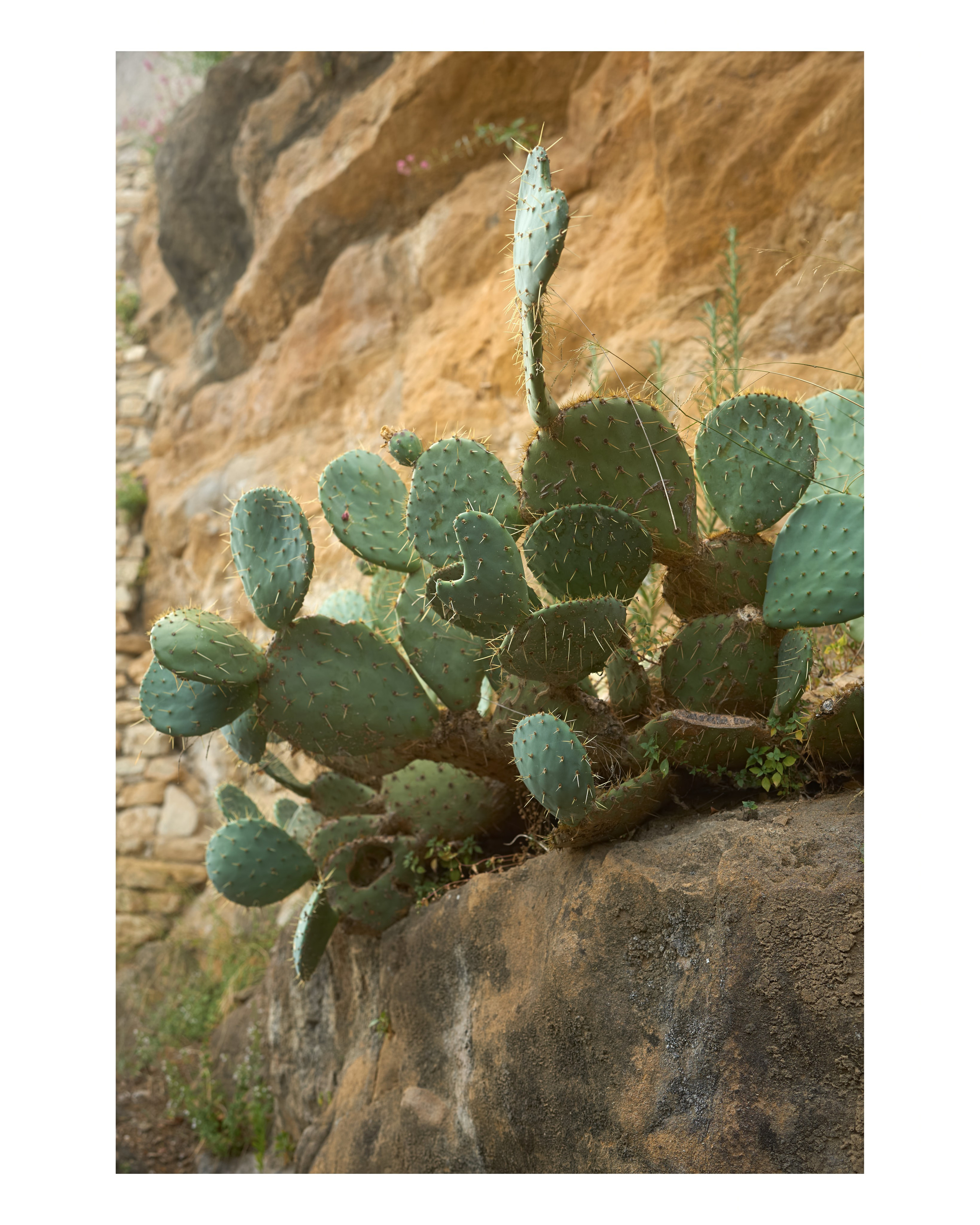 Fotograf, Stuttgart. Portrait, porträt, art, sedcard, studiofotograf stuttgart, polas