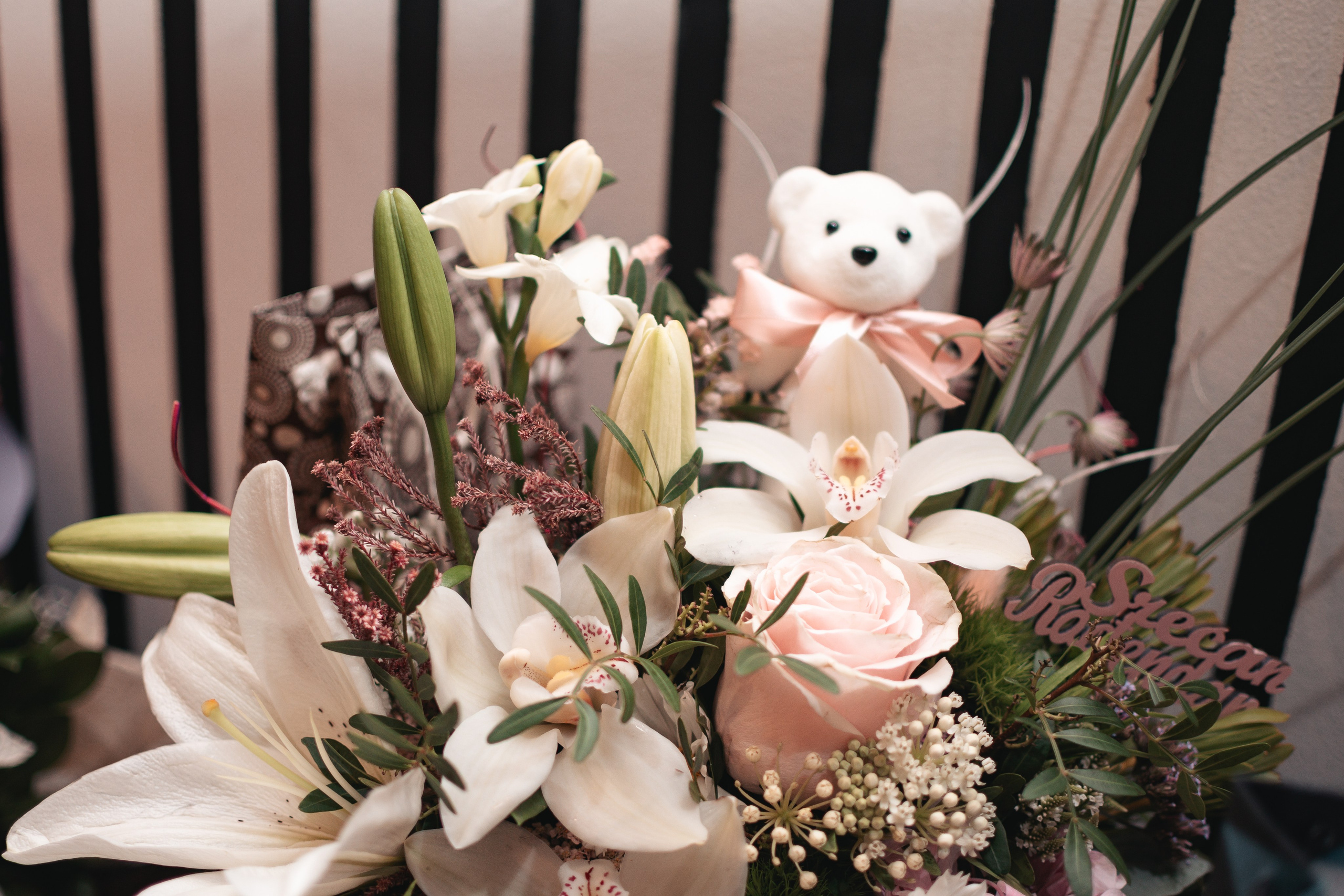 Sofija, krštenje i rođendan. BambinaaPhotography