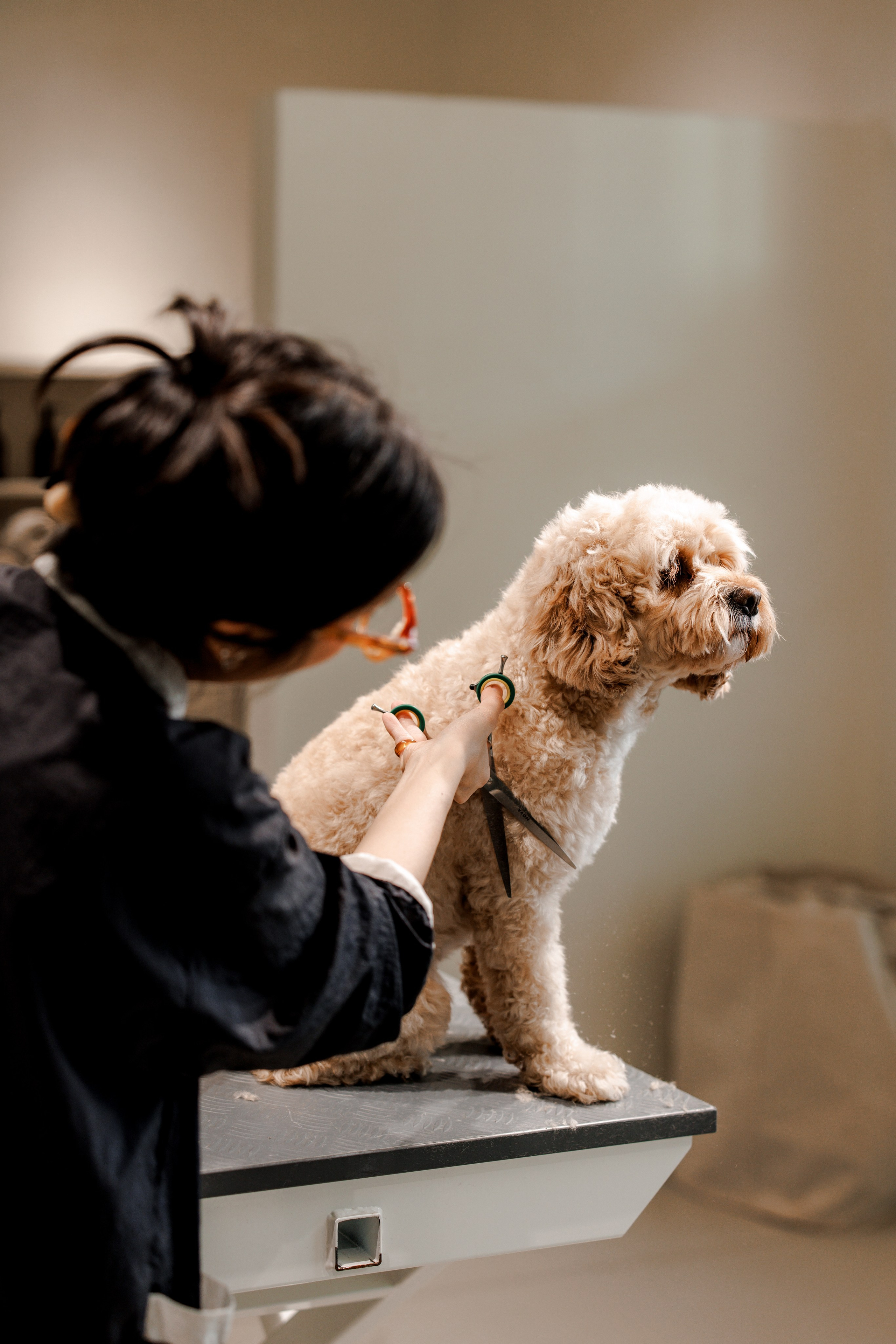 Bark & Bones. Familien- & Hochzeitsfotografin Schweiz. Valeria Diaz in Zürich und Umgebung