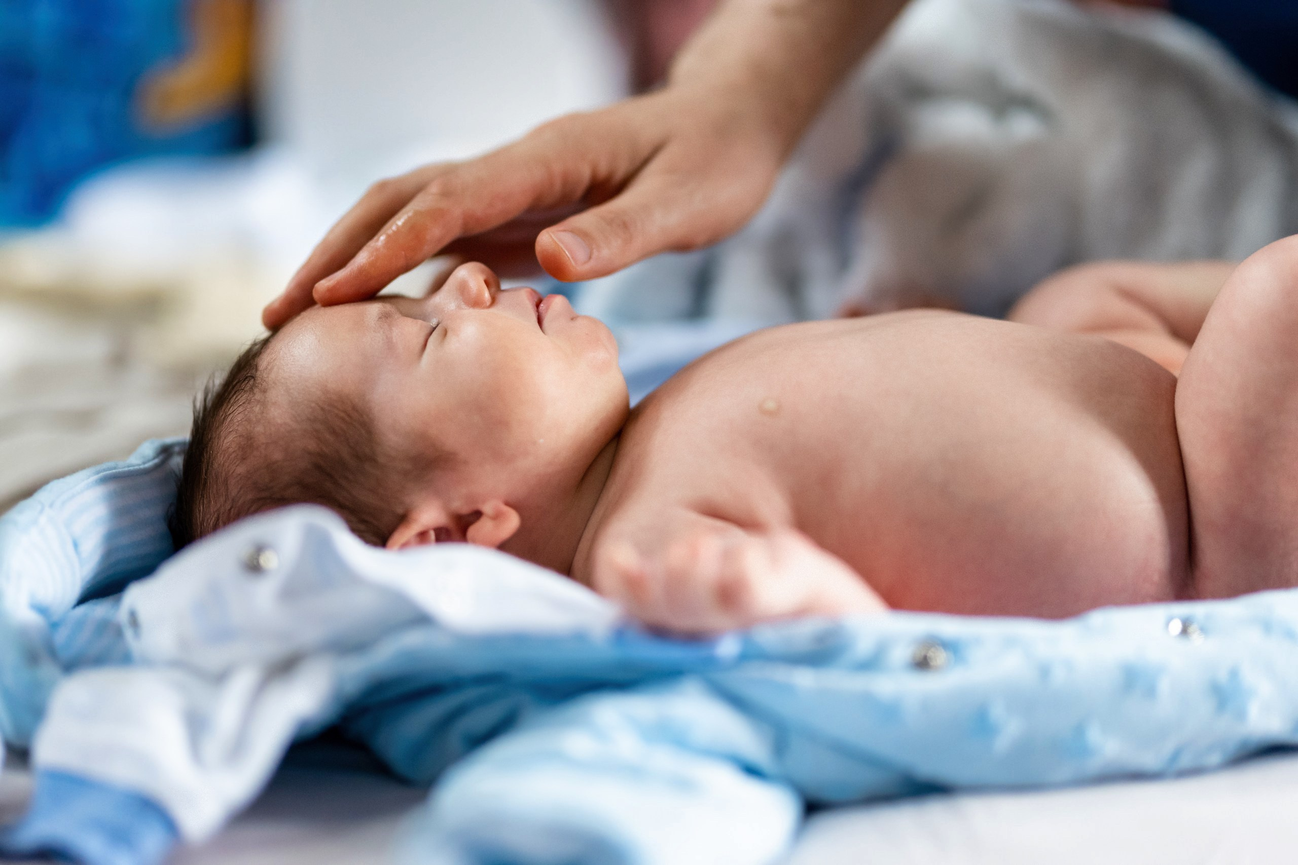 - nunta--fotograf-profesionist-botosani  - fotografie-nunta-romantica - imagini-nunta-in-natura-alin-chirila-fotograf  - fotografii-cuplu-indragostit-nunta-botosani  - sedinta-foto-miri-andrei-iustina-alinofotostudio  - amintiri-din-nunta-realizate-de-fotograf-profesionist  - povestea-nuntii-andrei-si-iustina-in-imagini-alinofotostudio-fotograf evenimente- evenimente Botoșani -fotograf Suceava - fotograf Iași- servicii foto. servicii foto Botoșani. servicii foto video Botoșani. otograf-nunta-botosani-fotograf nunta. fotograf evenimente. fotograf nunta Botoșani. Alin chirila. Alin chirila fotograf. Alinofotostudio.- servicii foto. servicii foto Botoșani. servicii foto video Botoșani. fotograf nunta. fotograf evenimente. fotograf nunta Botoșani. Alin chirila. Alin chirila fotograf. Alinofotostudio.fotograf stare civilă,poze stare civilă,album foto stare civilă,servicii foto suceava,fotograf evenimente suceava,fotograf nuntă suceava,poze cununie civilă,ședință foto stare civilă,sesiune foto suceava,fotograf profesionist suceava,fotograf botosani,stare civila botosani,alinofotostudio,alin chirila fotograf.servicii foto. servicii foto Botoșani. servicii foto video Botoșani. fotograf nunta. fotograf evenimente. fotograf nunta Botoșani. Alin chirila. Alin chirila fotograf. Alinofotostudio.fotograf stare civilă,poze stare civilă,album foto stare civilă,servicii foto suceava,fotograf evenimente suceava,fotograf nuntă suceava,poze cununie civilă,ședință foto stare civilă,sesiune foto suceava,fotograf profesionist suceava,fotograf botosani,stare civila povestitor prin fotografiebotosani,alinofotostudio,alin chirila fotograf,servicii foto. servicii foto Botoșani. servicii foto video Botoșani. fotograf nunta. fotograf evenimente. fotograf nunta Botoșani. Alin chirila. Alin chirila fotograf. Alinofotostudio.fotograf stare civilă,poze stare civilă,album foto stare civilă,servicii foto suceava,fotograf evenimente suceava,fotograf nuntă suceava,poze cununie civilă,ședință foto stare civilă,sesiune foto suceava,fotograf profesionist suceava,fotograf botosani,stare civila botosani,alinofotostudio,alin chirila fotograf,cununie religioasă botoșani,andreea și neculai,capela militară botoșani,foto conacul zăicești,fotograf nuntă botoșani,fotograf cununie religioasă,foto evenimente botoșani,poze cununie capela militară,ședință foto zăicești,fotograf profesionist botoșaniMire și mireasă – Sergiu & Liliana – ziua nunții, 2024  - Emoții în ziua nunții – Sergiu și Liliana  - Dansul mirilor – fotografie artistică nuntă 2024  - Sedinta foto romantică în natură – Sergiu & Liliana  - Rochia de mireasă și detalii de nuntă elegan-Album de cununie civilă Florin și Anda – Fotografii profesionale realizate de Alin Chirilă în Botoșani -fotograf prin fotografie-Ședință foto Trash the Dress pe muntele Rarău cu Iulian și Iuliana – fotografie de cuplu, natură montană, emoție autentică surprinsă de Alin Chirilă, povestitor prin fotografie.- "Iulian și Iuliana pe crestele Rarăului – fotografie Trash the Dress în natură"  - "Cuplu îmbrățișat la apus pe muntele Rarău – ședință foto după nuntă"  - "Rochie de mireasă în vânt pe munte – Trash the Dress Rarău-1. Iulian și Iuliana pe muntele Rarău – ședință foto Trash the Dress în natură, cu peisaj montan spectaculos  2. Cuplu în îmbrățișare pe Rarău – emoție autentică surprinsă după nuntă  3. Rochie de mireasă în bătaia vântului – fotografie artistică Trash the Dress în munți  4. Mire și mireasă privind spre orizont – dragoste și libertate pe muntele Rarău  5. Iuliana zâmbind în rochia de mireasă – portret în natură, Trash the Dress  6. Iulian ținându-și mireasa de mână – ședință foto romantică pe munte  7. Detaliu cu rochia pe stâncă – estetică naturală Trash the Dress Rarău  8. Cuplu în mers pe poteca Rarăului – fotografie simbolică de după nuntă  9. Apus de soare pe Rarău în spatele mirilor – imagine de poveste Trash the Dress  10. Iulian și Iuliana râzând împreună – momente autentice surprinse de Alin Chirilă, povestitor prin fotografie-fotograf-nunta-cerbu-botosan trash-the-dress-botosani Alin Chirilă Fotograf – fotograf de nuntă Botoșani-fotograf nuntă Botoșani-fotograf nuntă Cerbu Botoșani-fotograf profesionist nuntă Botoșani-fotografie de nuntă Botoșani-fotograf evenimente Botoșani-fotograf nuntă Moldova-fotograf trash the dress Botoșani	- fotograf pregătirea mirilor Botoșani	-fotograf ceremonie religioasă nuntă-fotograf petrecere nuntă Botoșani- fotograf nuntă Botoșani pregătirea mirelui- pregătirea mirelui fotografie nuntă Cerbu Botoșani-fotograf nuntă Botoșani pregătirea miresei -mireasă pregătiri nuntă Cerbu Botoșani-fotograf nuntă Botoșani nașii mirilor-ceremonie religioasă nuntă Cerbu Botoșani-fotograf nuntă Botoșani ceremonie religioasă biserică-petrecere nuntă Cerbu Botoșani invitați dans-fotograf nuntă Botoșani petrecere restaurant-ședință foto trash the dress-fotograf trash the dress Botoșani ședință foto după nuntă-Fotograf nuntă Botoșani – galerie foto reală de la evenimente