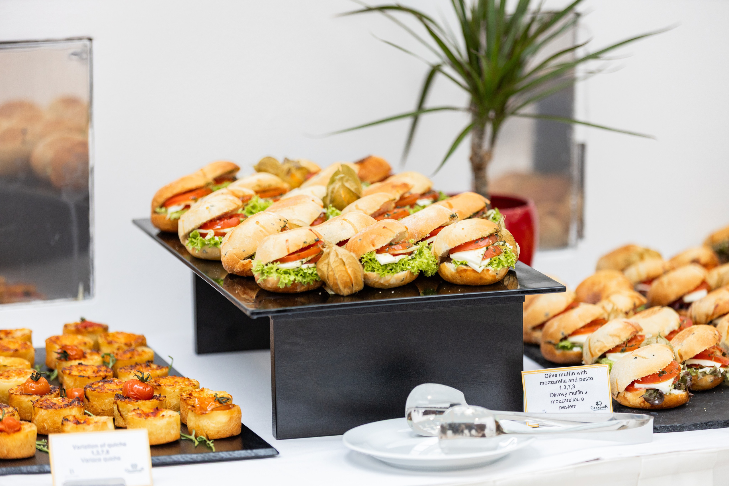 Dana Lišková - Event Photographer Prague - event photography  - conference photography - corporate events - corporate photography