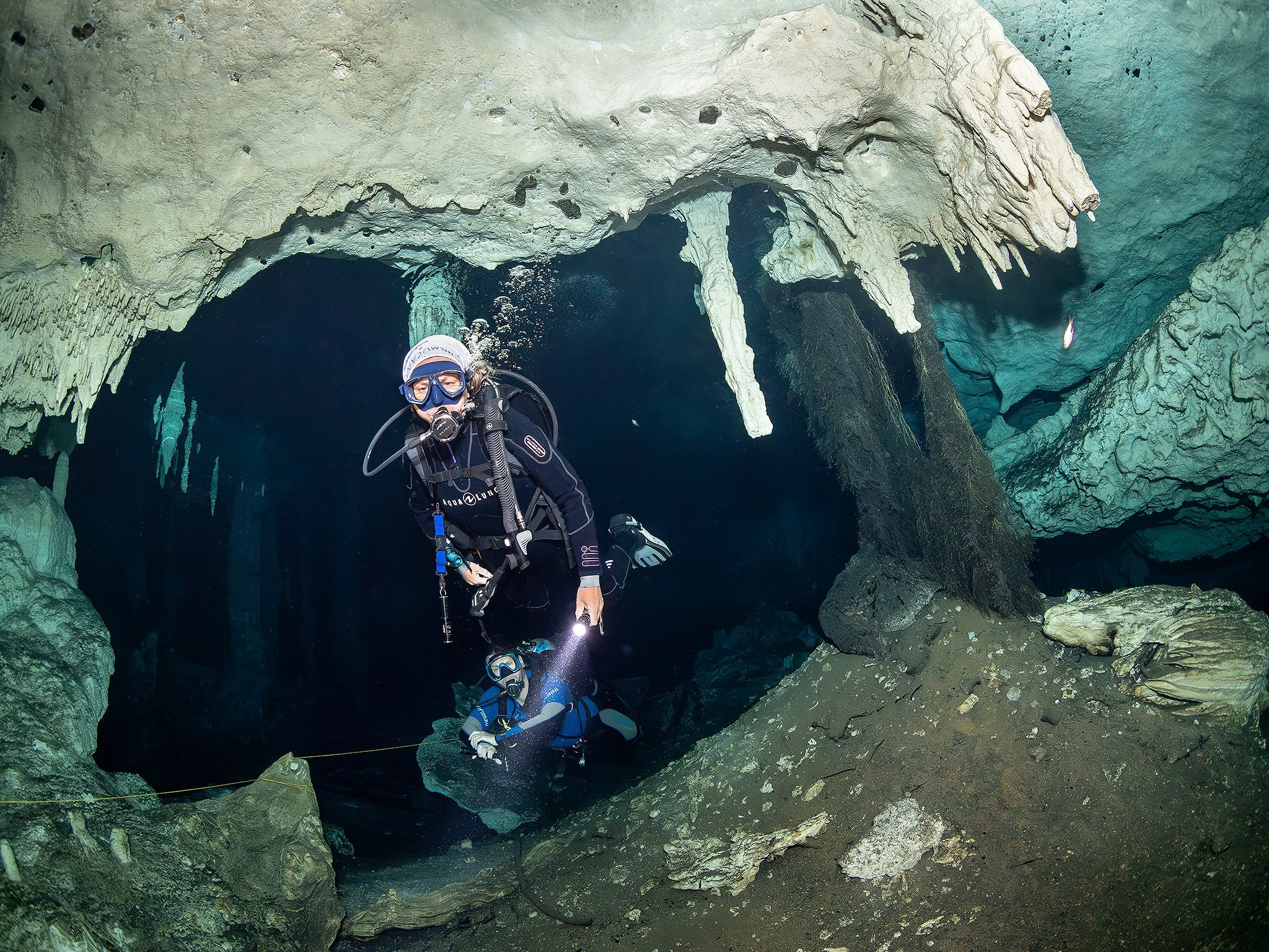 Senote. Your photographer on land and under water— Alexey Zaytsev