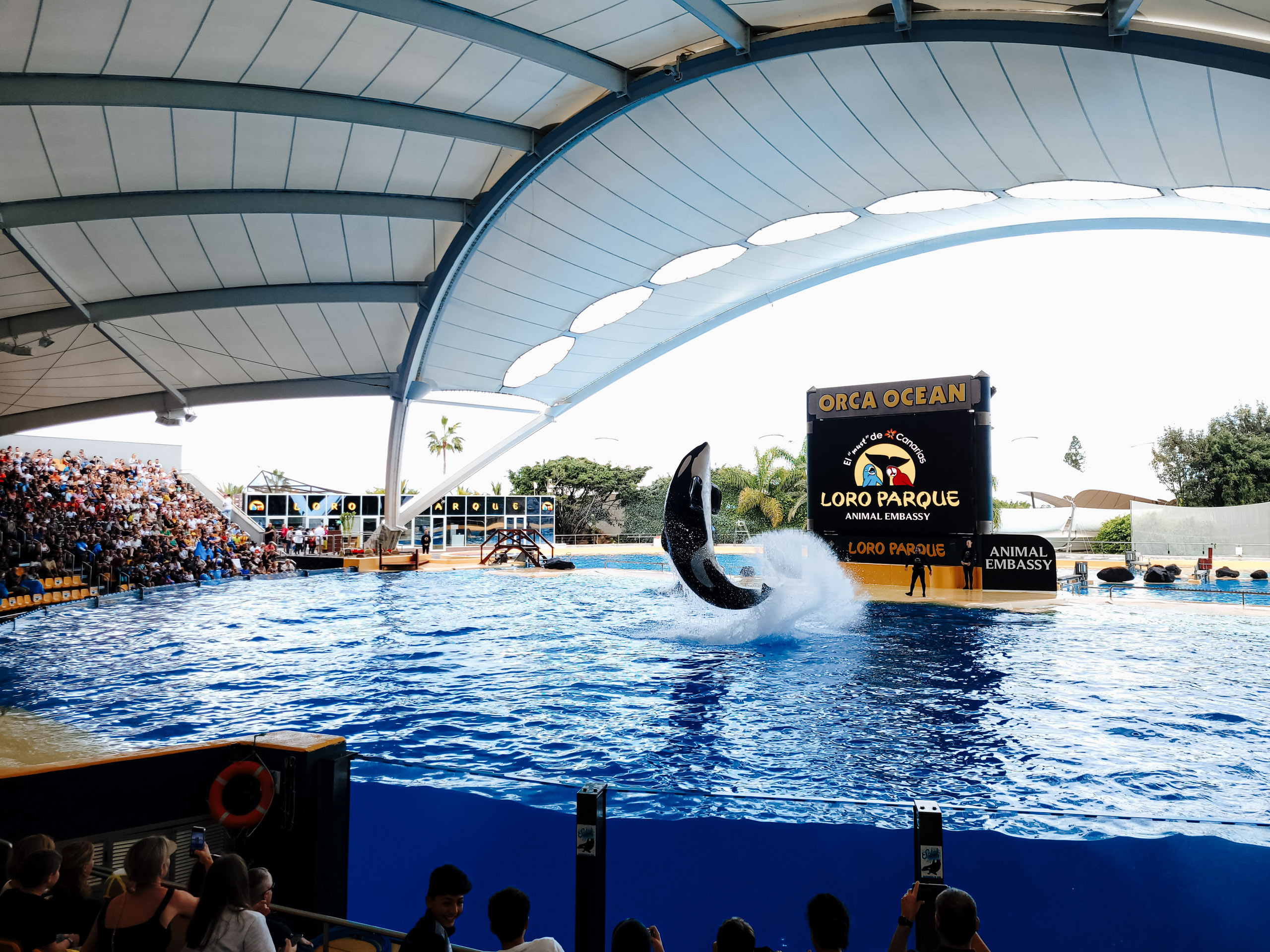 tenerifes atpūta ar bērniem