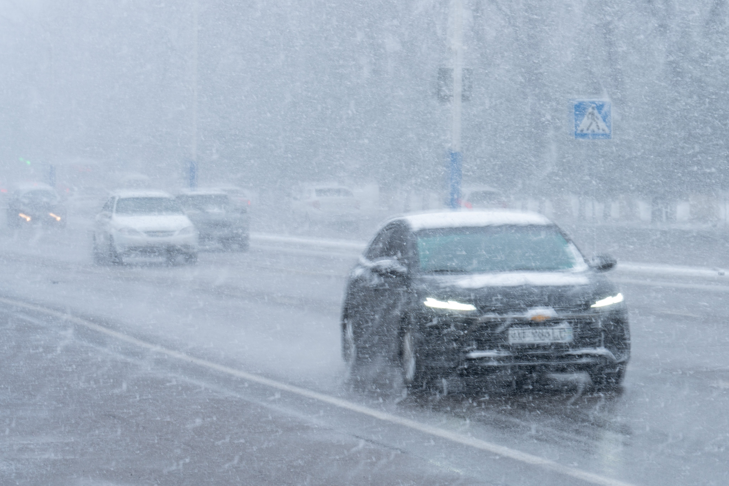 Первый снег в 2024 году. Георгий Намазов | Фотограф в Ташкенте