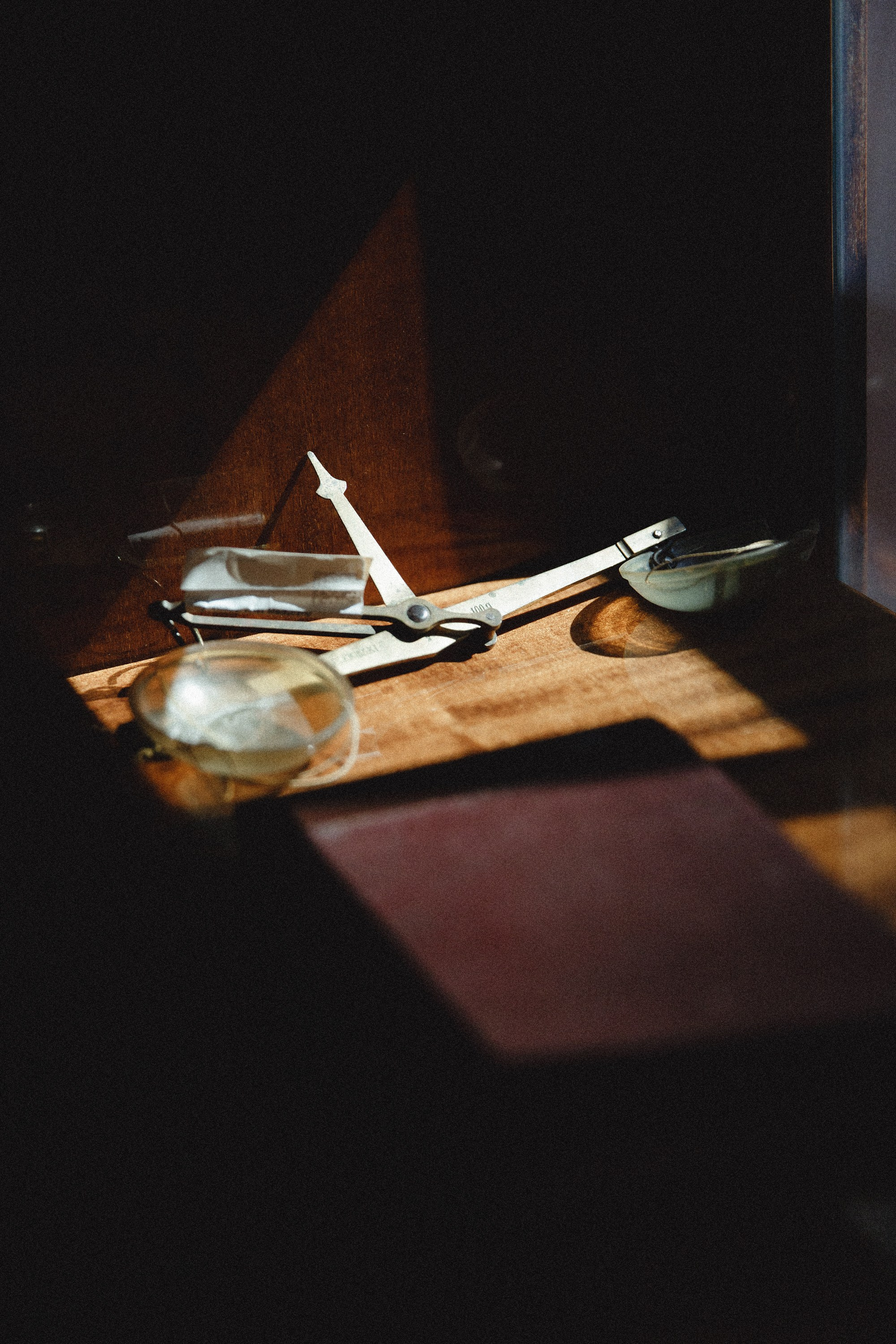 Museum of farmacy in Wroclaw. Kaja | fotograf we Wrocławiu | ludzie i psy