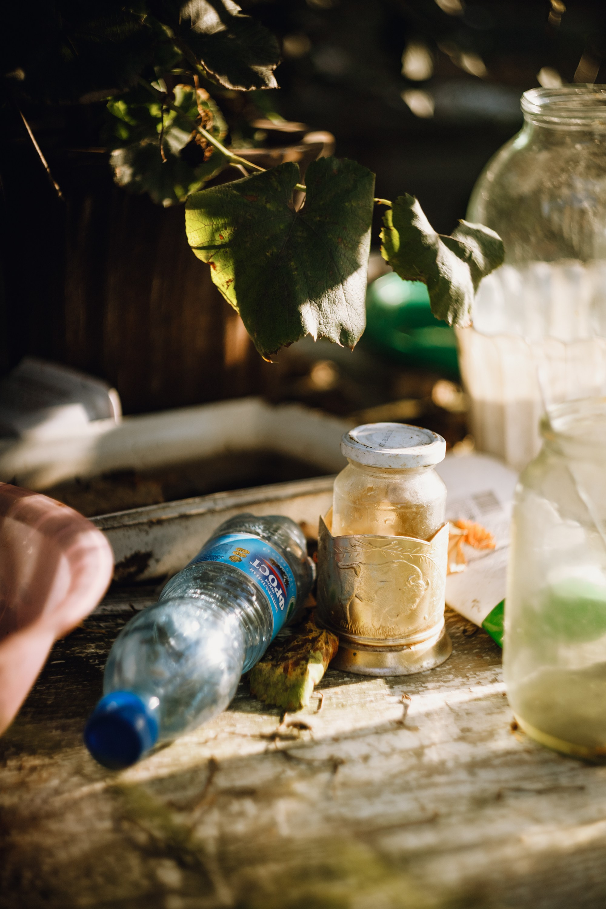 Grandmother's home in Brest. Kaja | fotograf we Wrocławiu | ludzie i psy