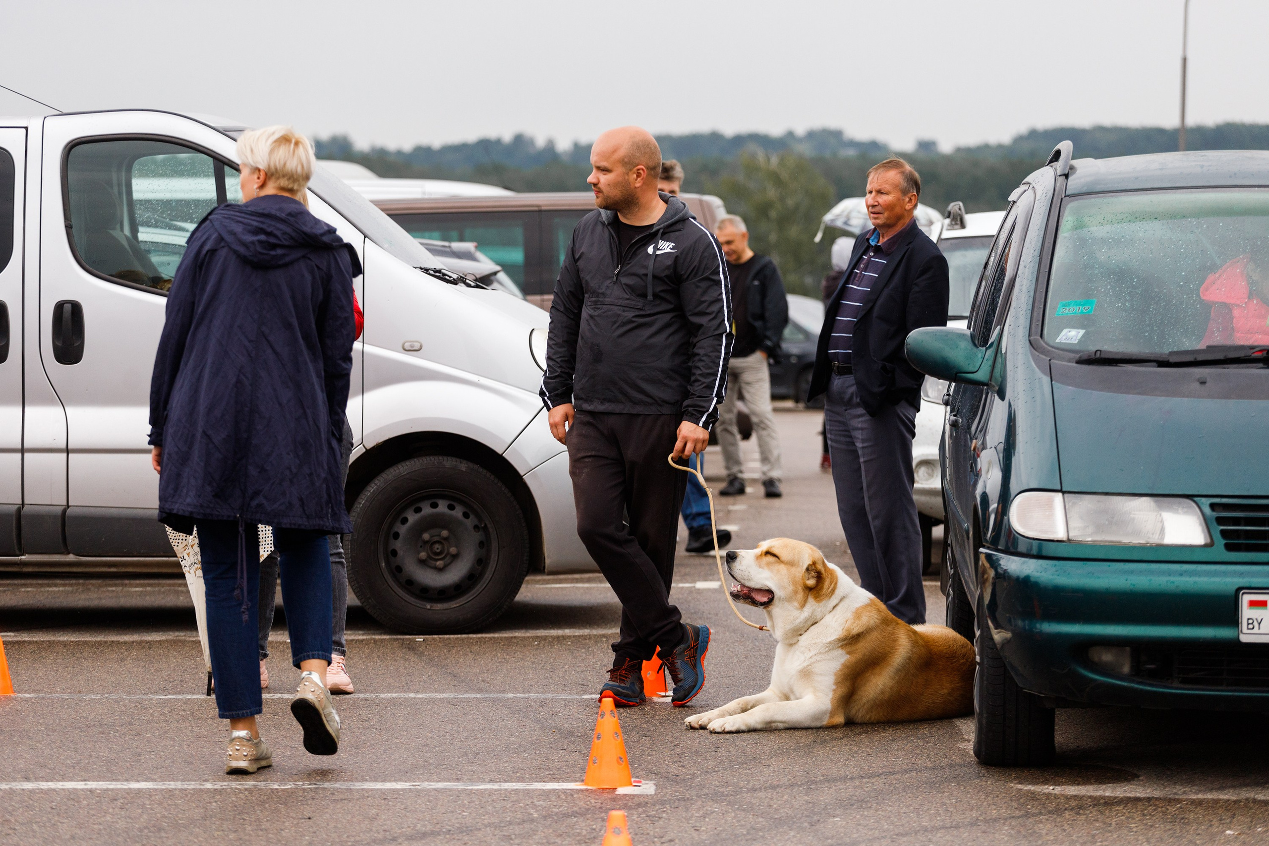 Rainy dog show in Grodno. Kaja | fotograf we Wrocławiu | ludzie i psy