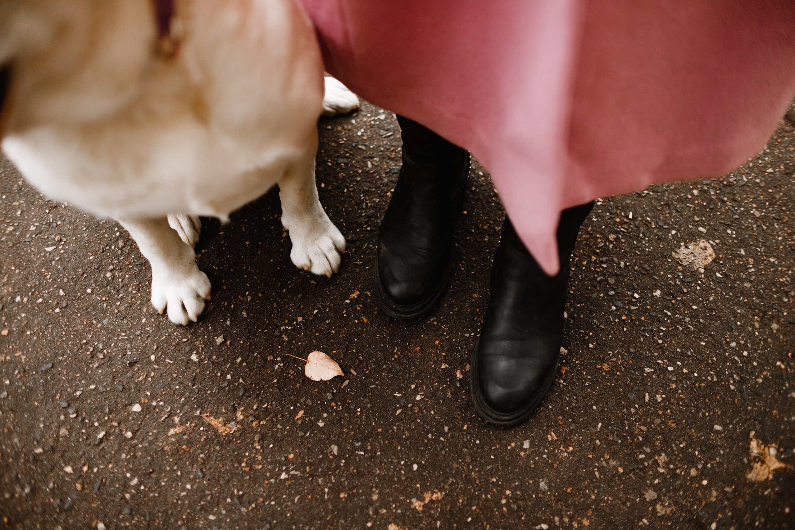 Tatiana & Tessa. Kaja | fotograf we Wrocławiu | ludzie i psy