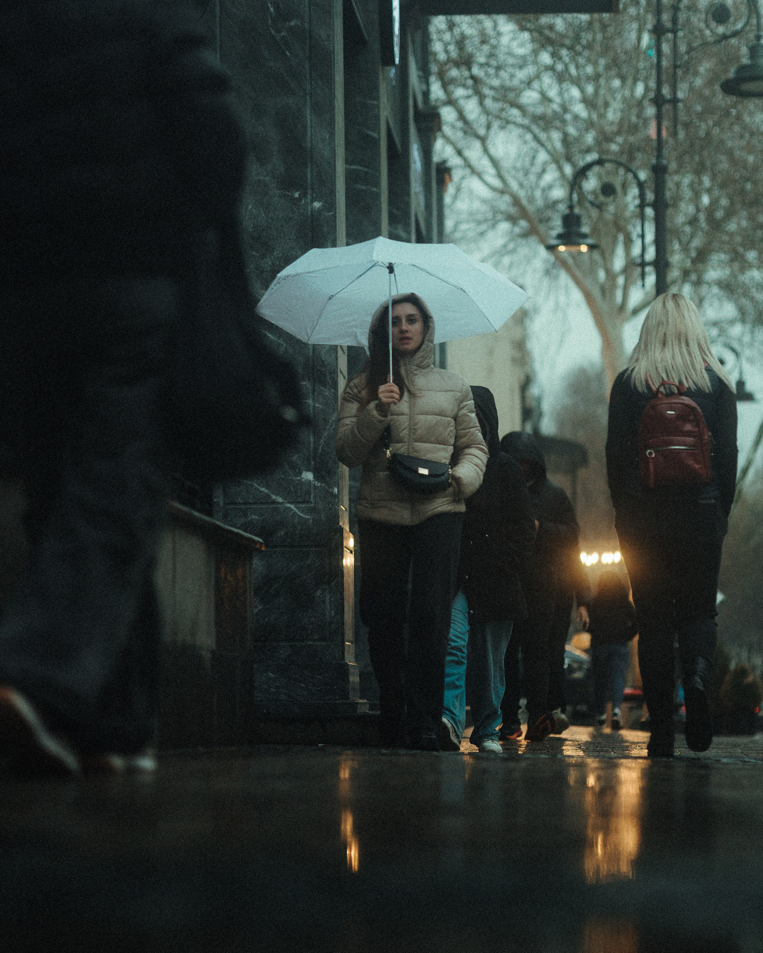 T B I L I S I 2025. Bspander