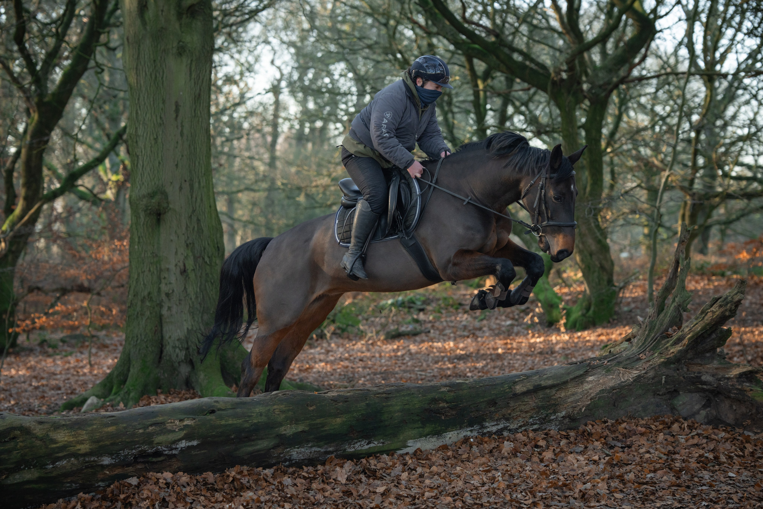Leicestershire Equine Photography by El | Authentic Equine Portraits & Events