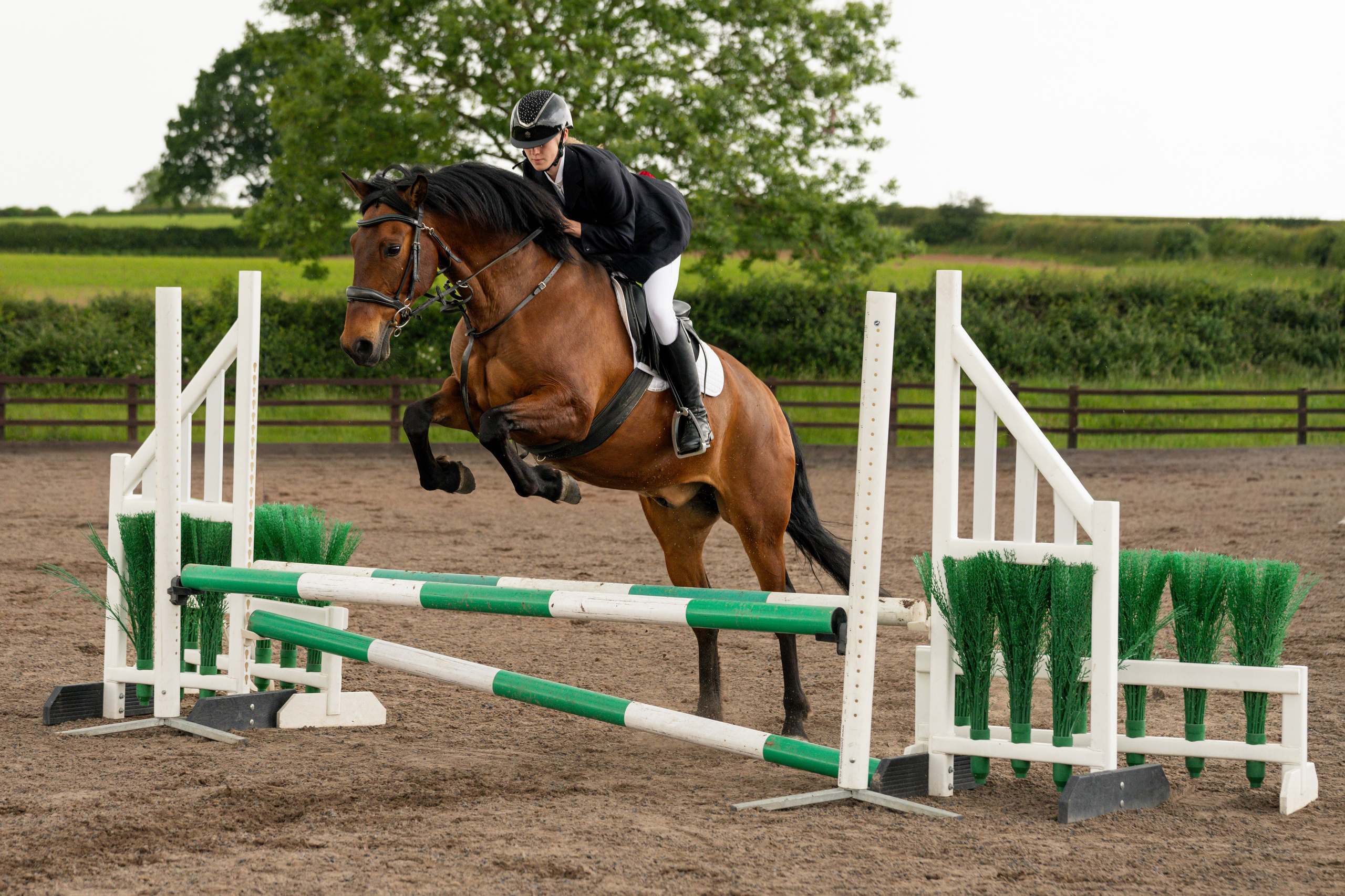Show Jumping Photography in Leicestershire | Equine Action Shots by El. Leicestershire Equine Photography by El | Authentic Equine Portraits & Events