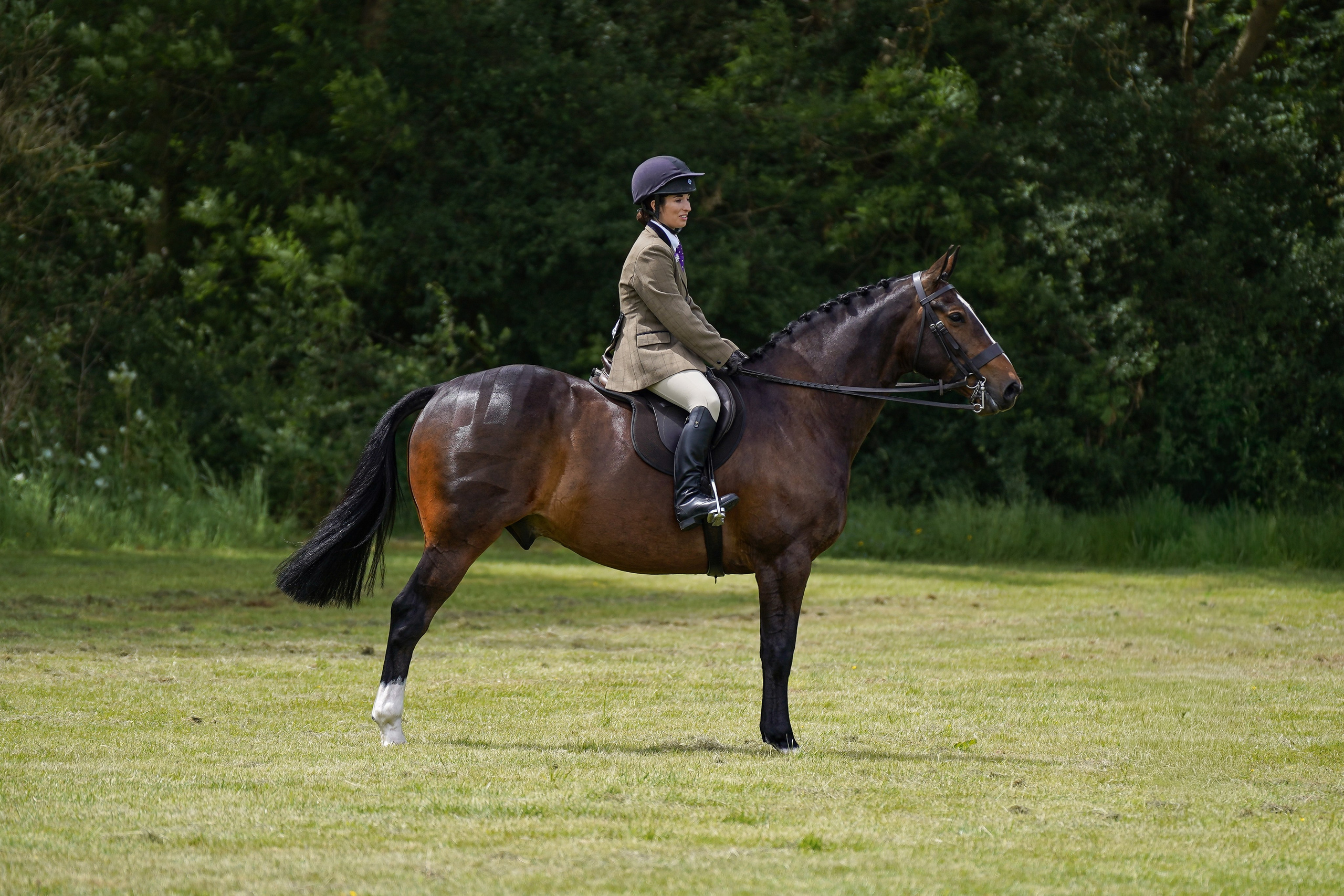 Showing. Leicestershire Equine Photography by El | Authentic Equine Portraits & Events