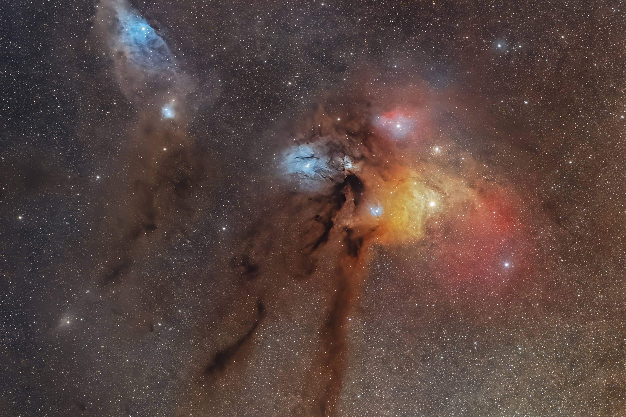 Amirhamzeh Mashayekhi Photographer