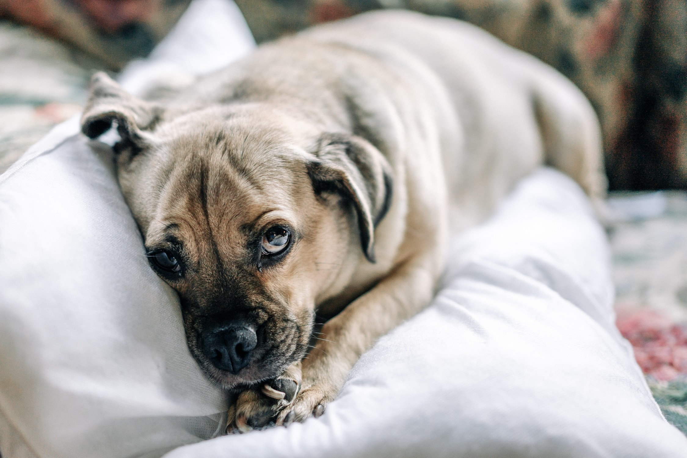 Moments. ARTIGO Igor Rudyi Art Photography