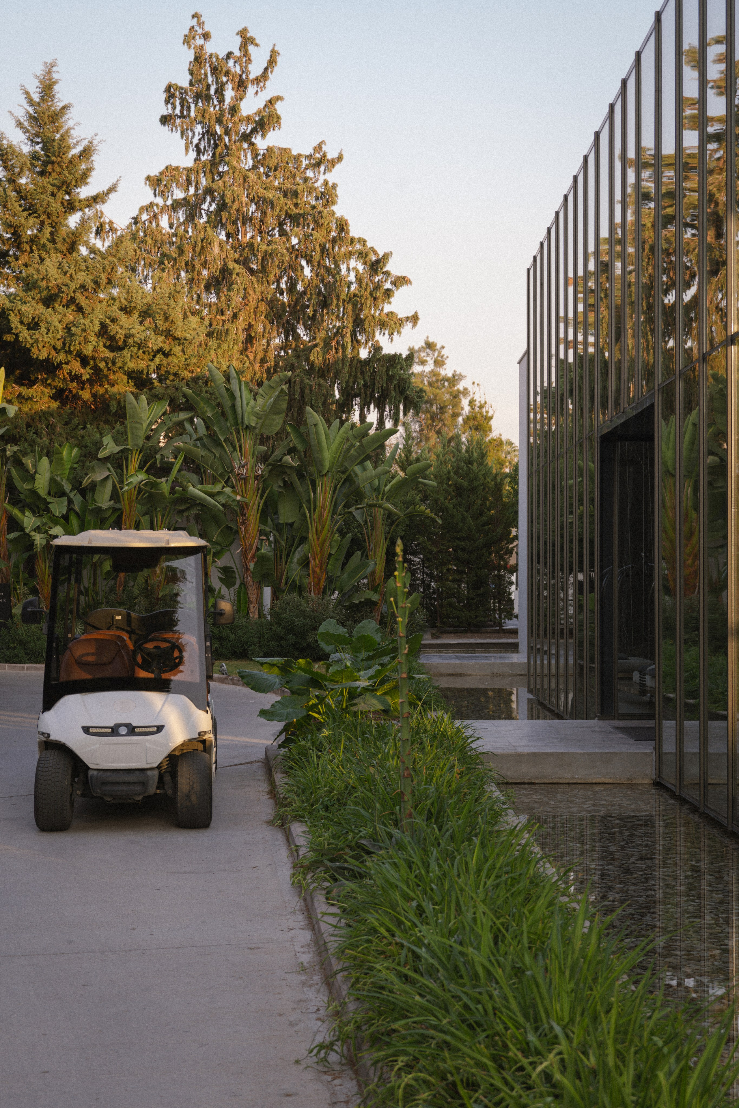 Paloma Finesse. Professional photographer and videographer specializing in filming hot