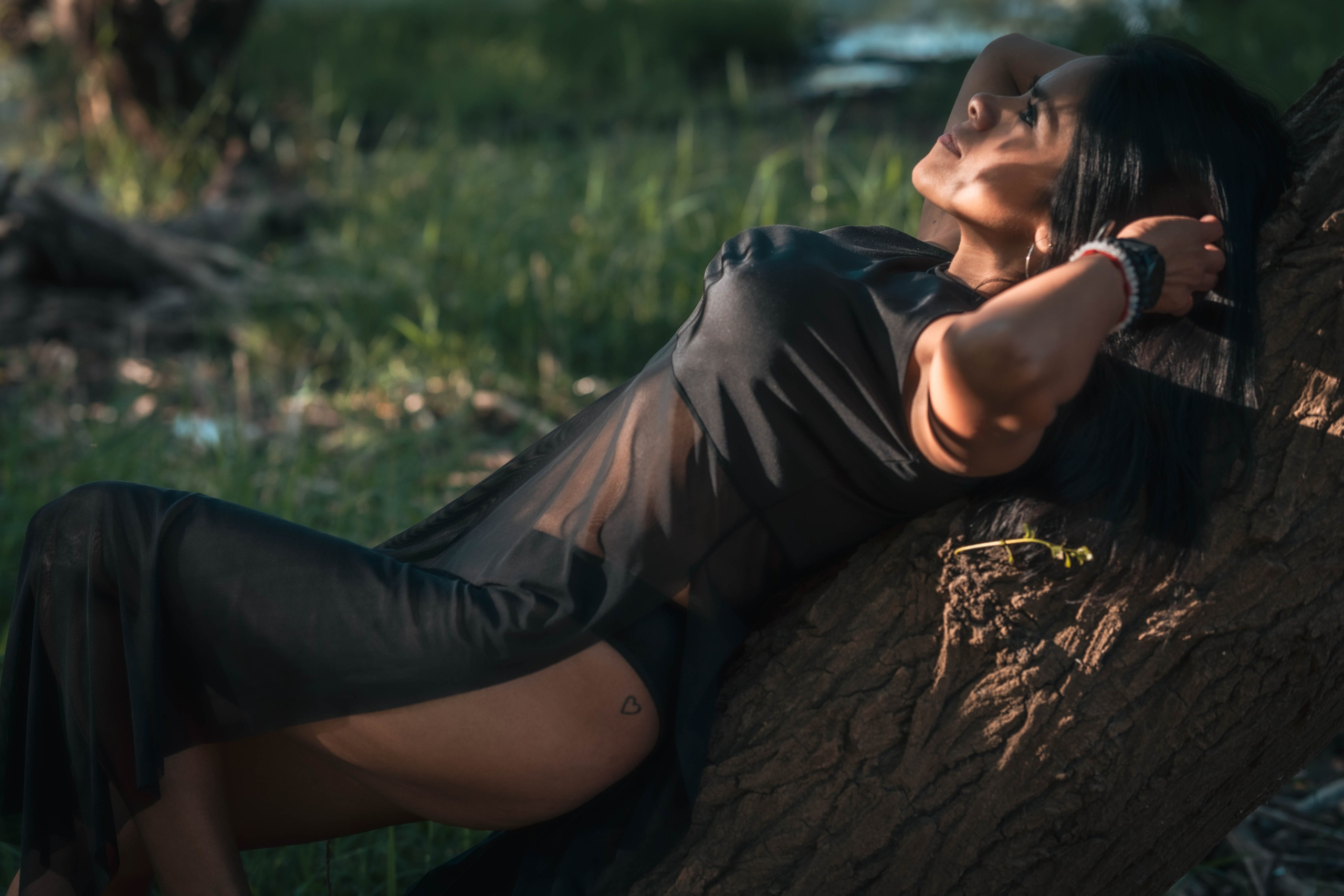 Fabi. Alba del Norte Studio