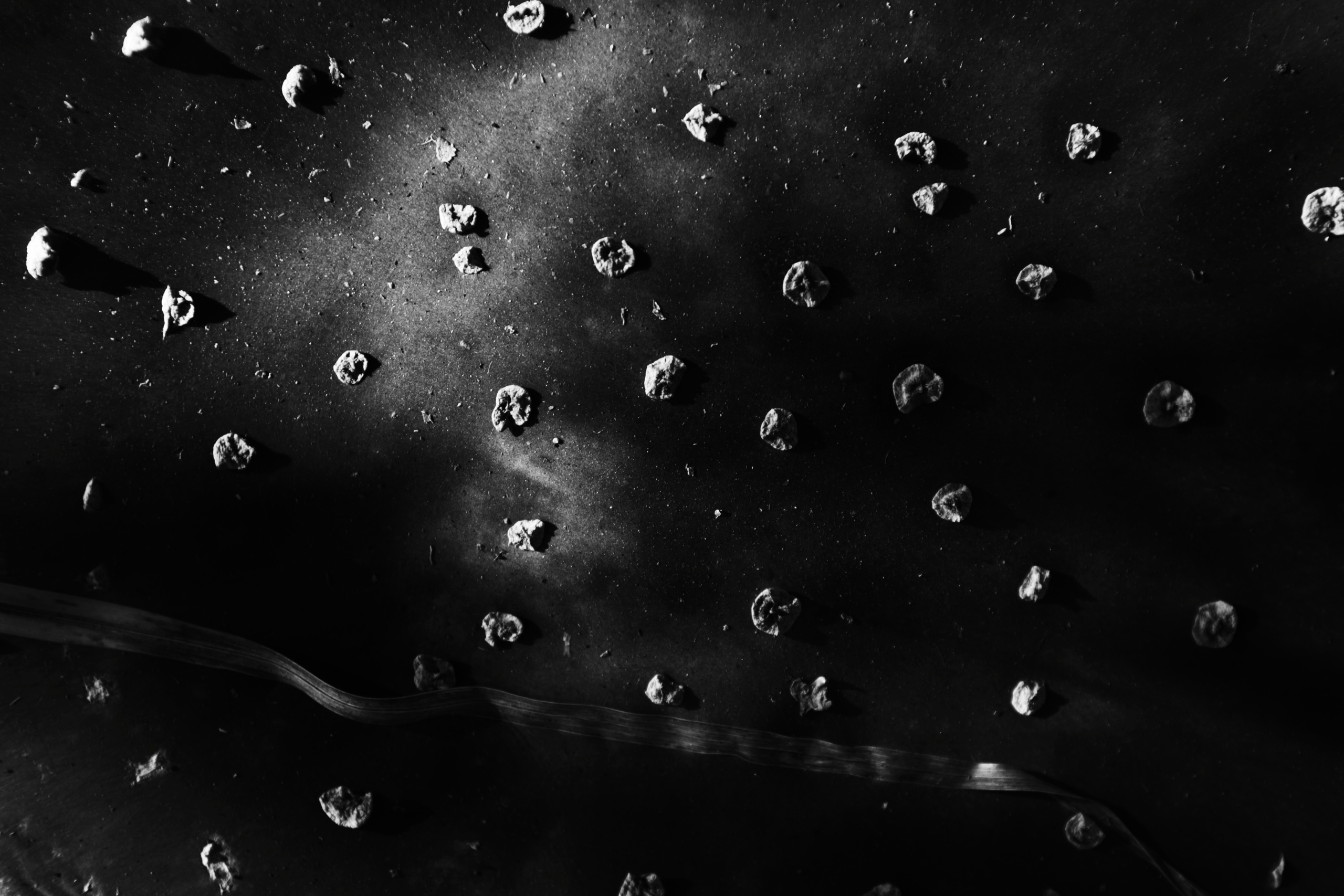 The language of contemporary creative photography