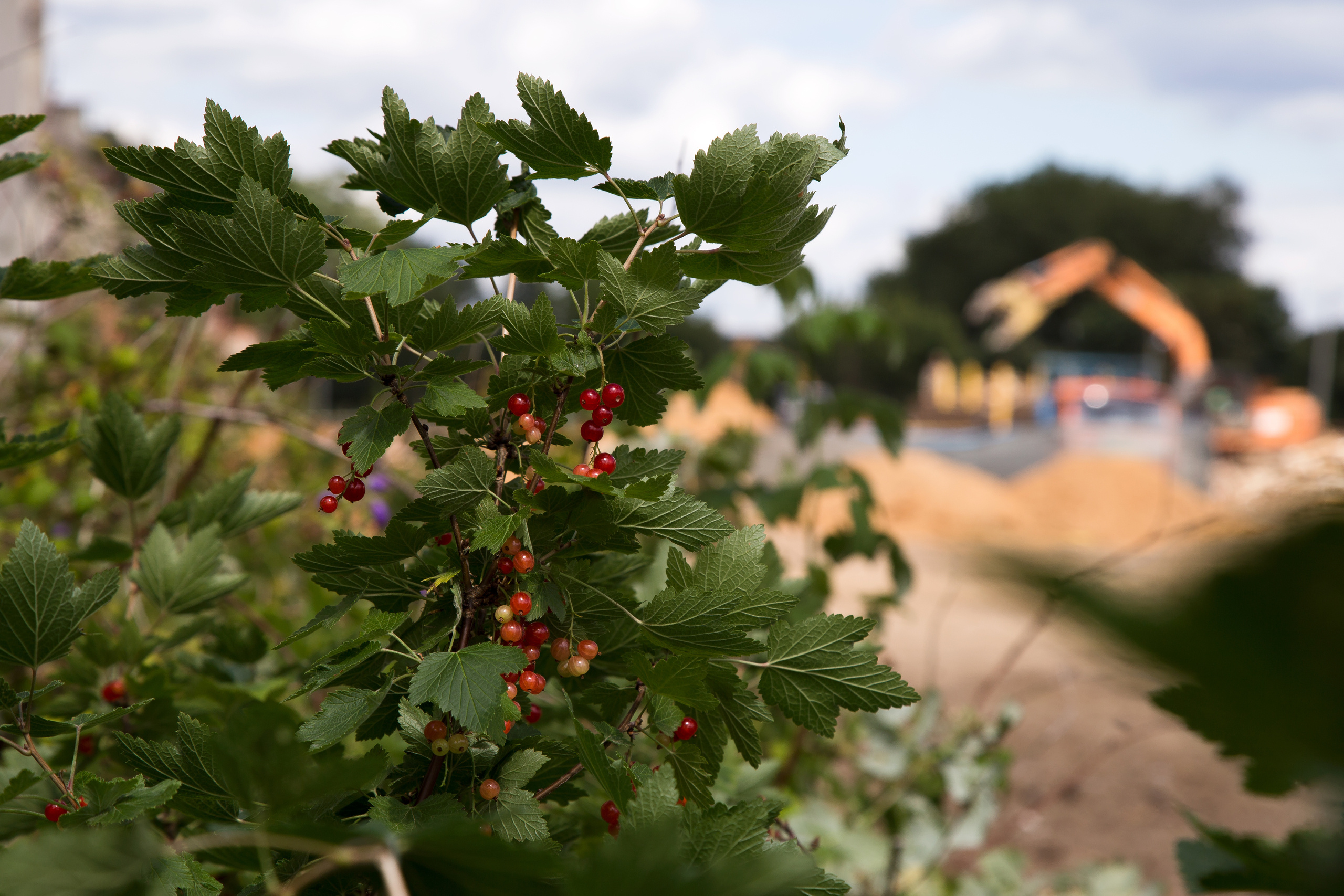 The language of contemporary creative photography