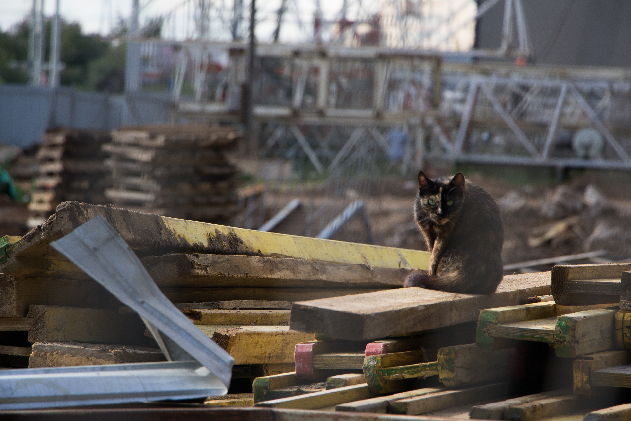 The language of contemporary creative photography