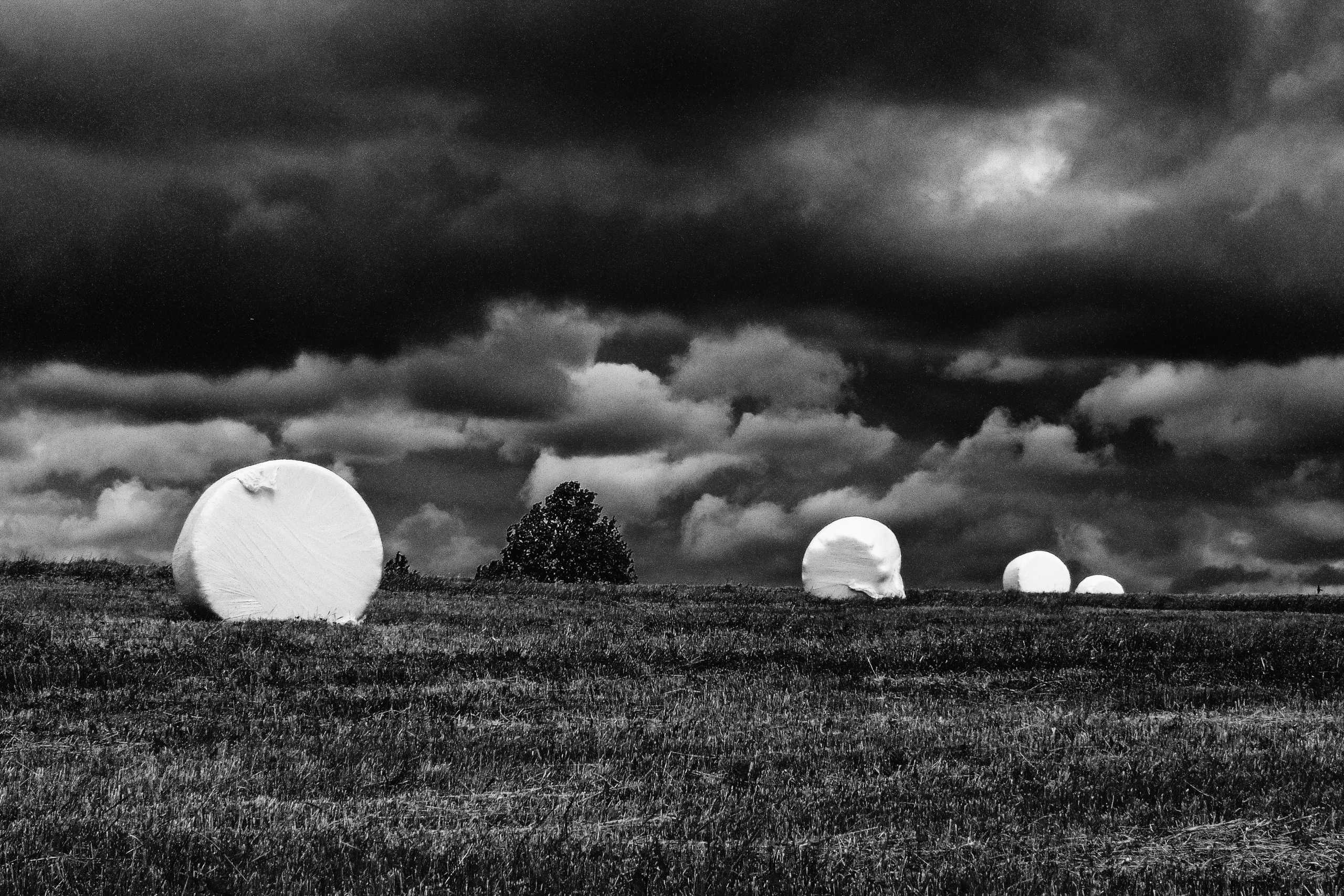 The language of contemporary creative photography