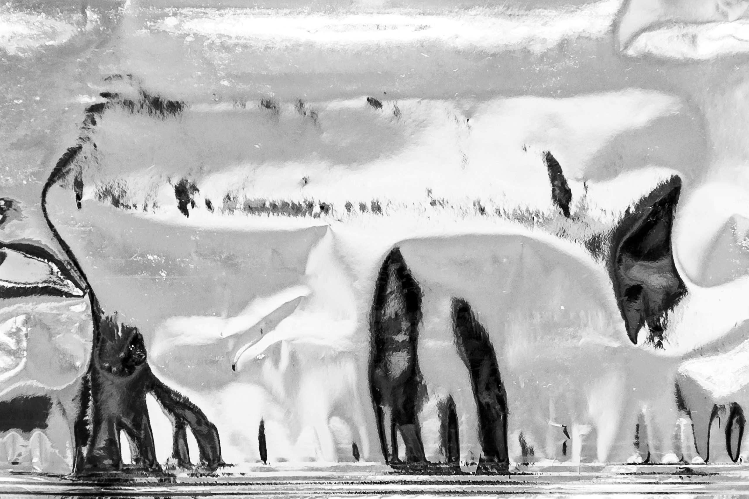 The language of contemporary creative photography