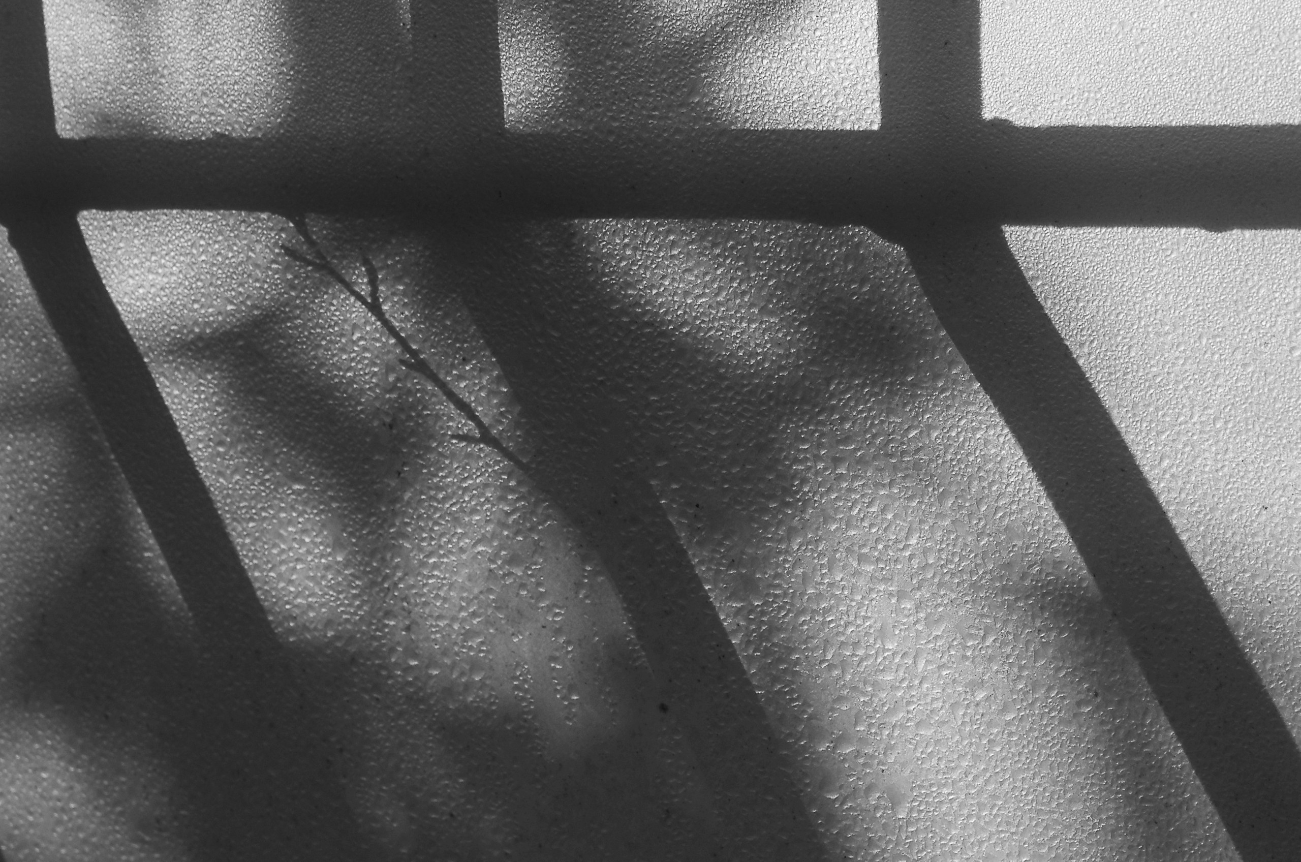 The language of contemporary creative photography