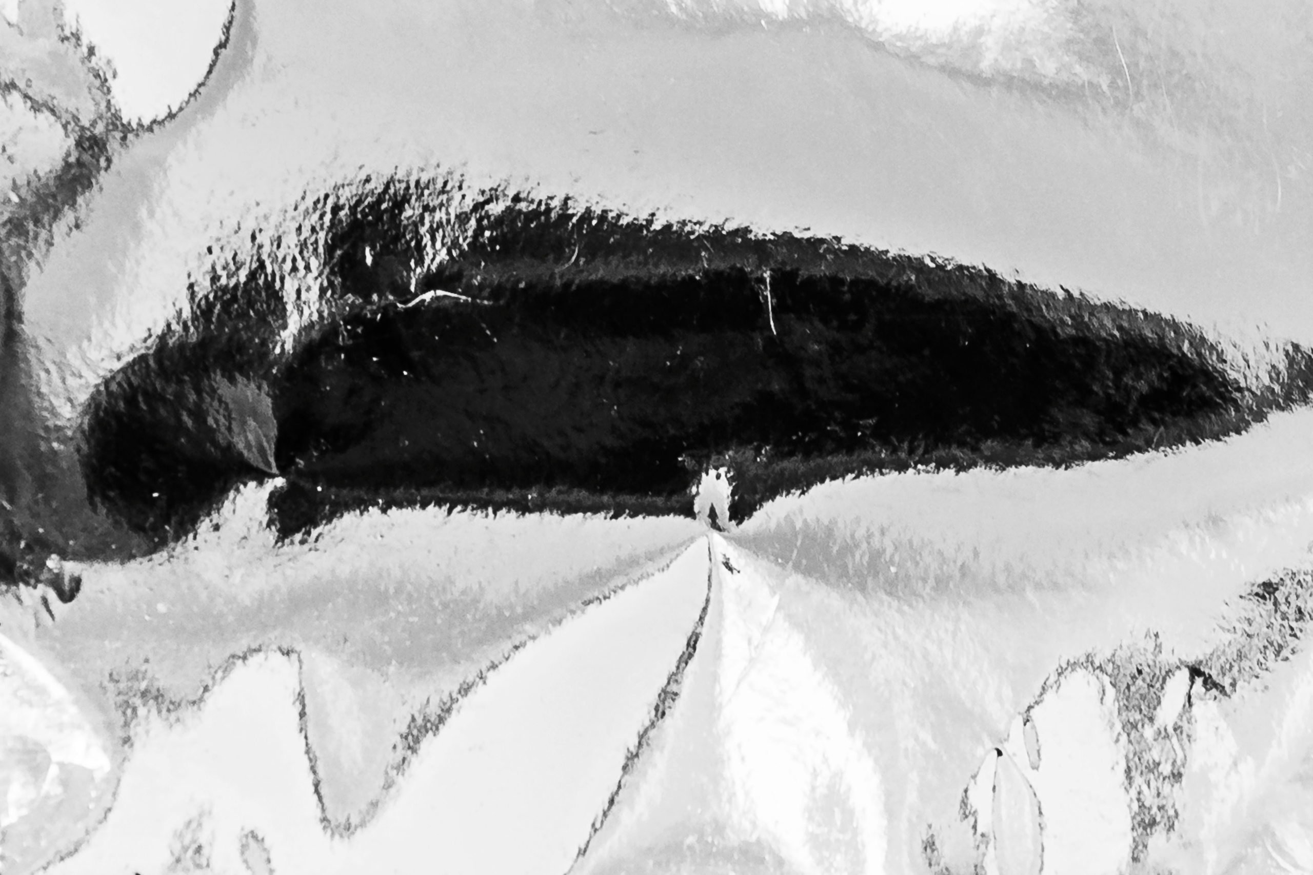 The language of contemporary creative photography