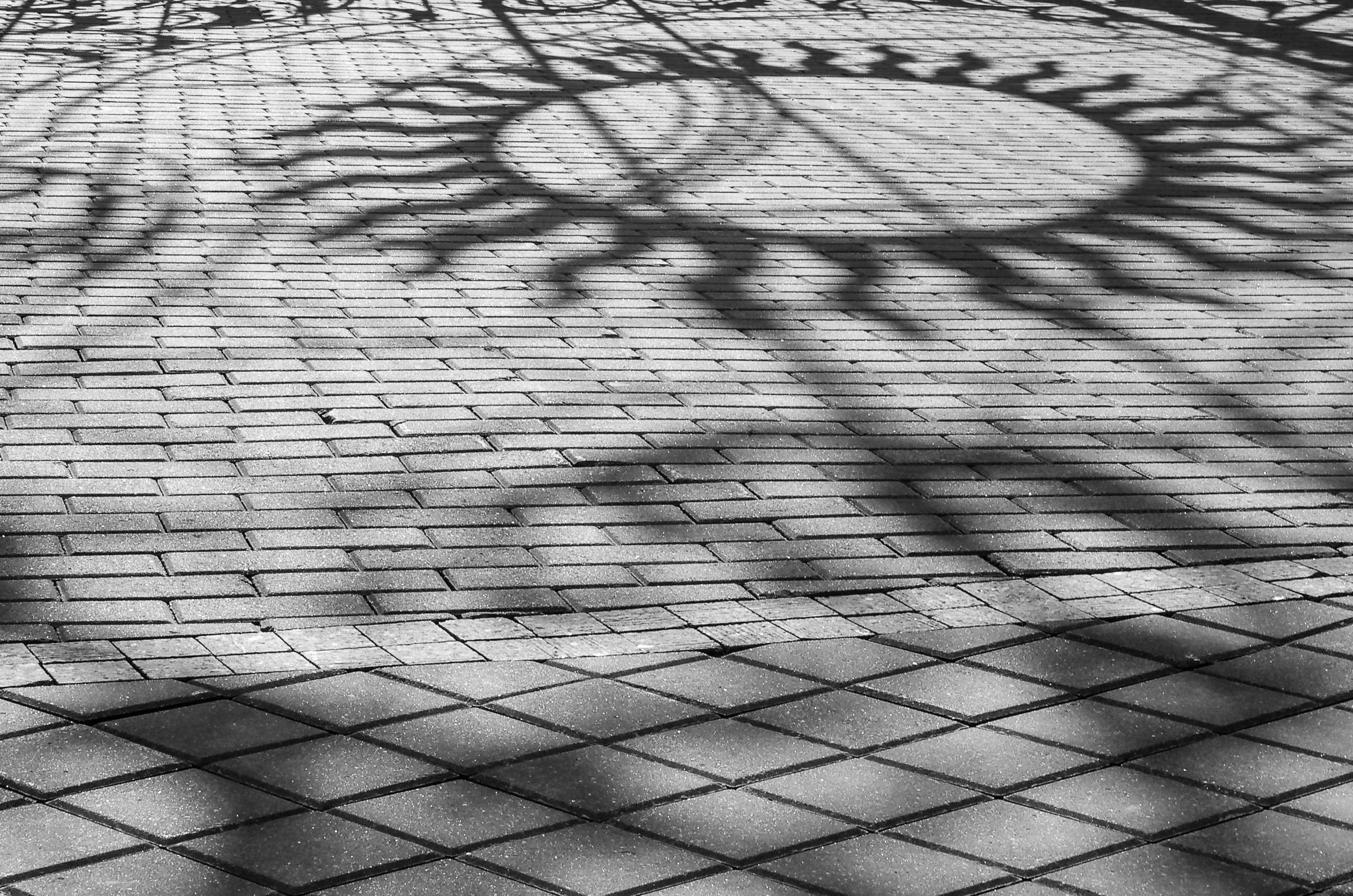 The language of contemporary creative photography