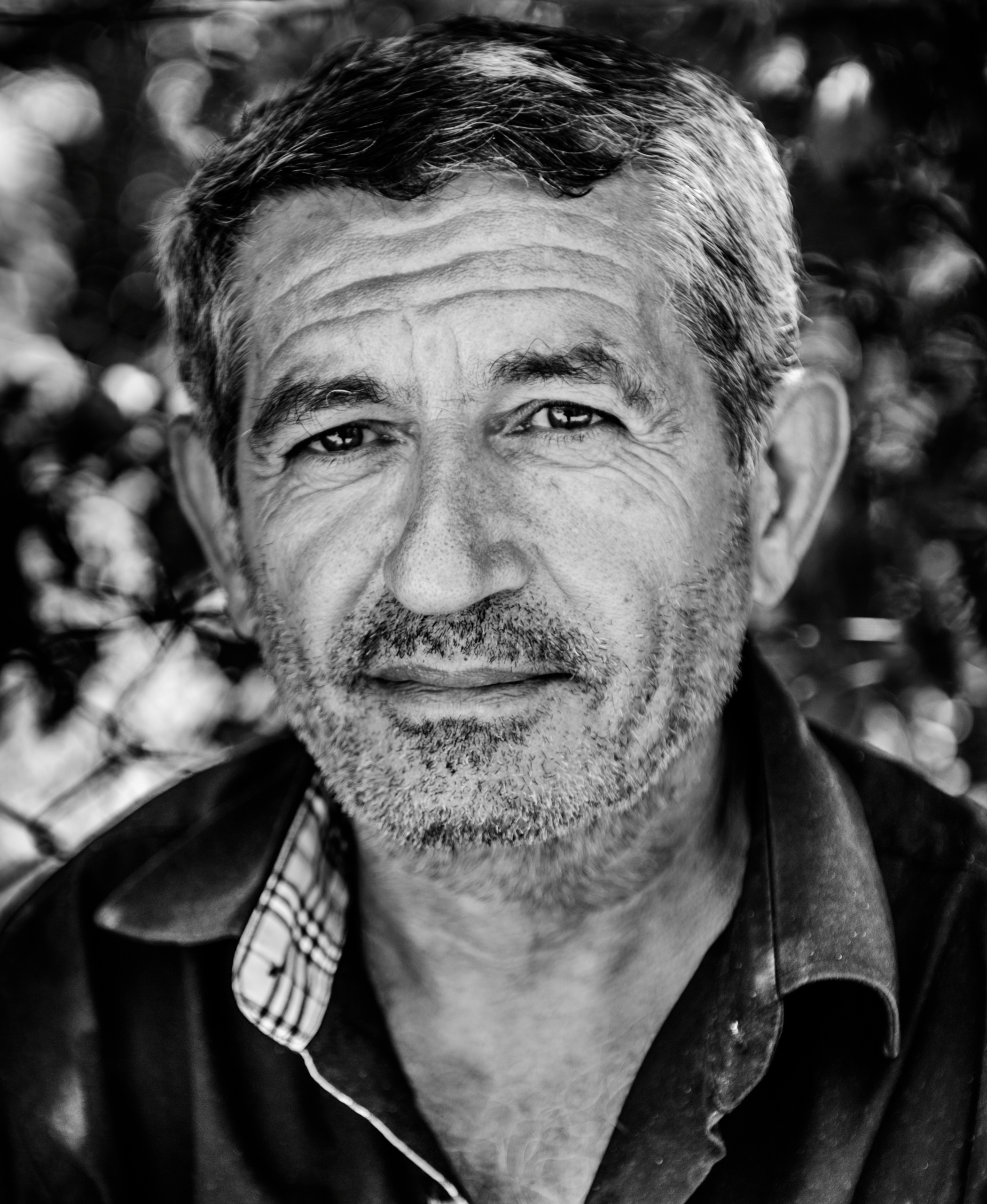 The language of contemporary creative photography